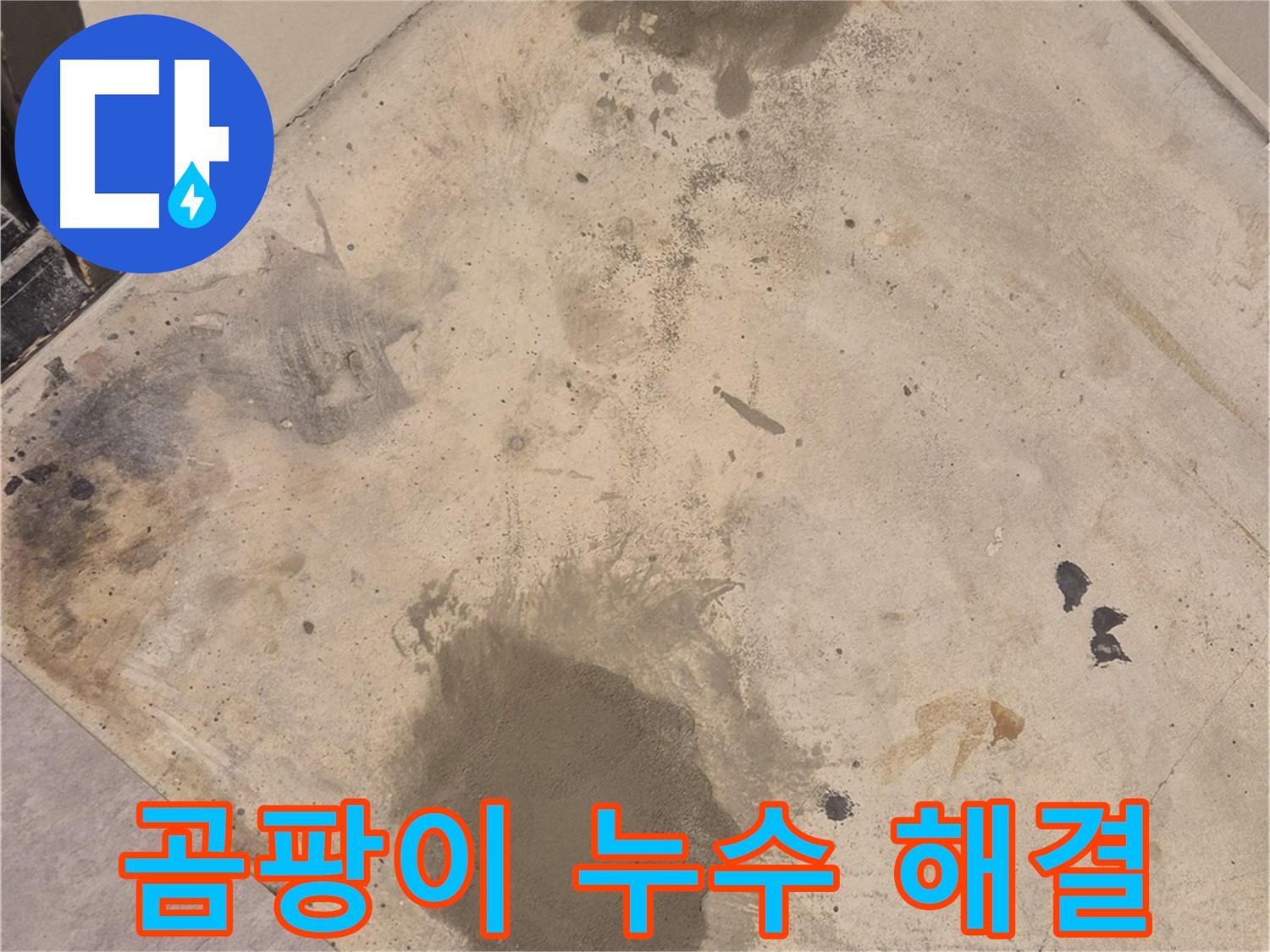 구의동 누수 현장 - 곰팡이 핀 바닥, 누수 탐지부터 해결까지 책임집니다.