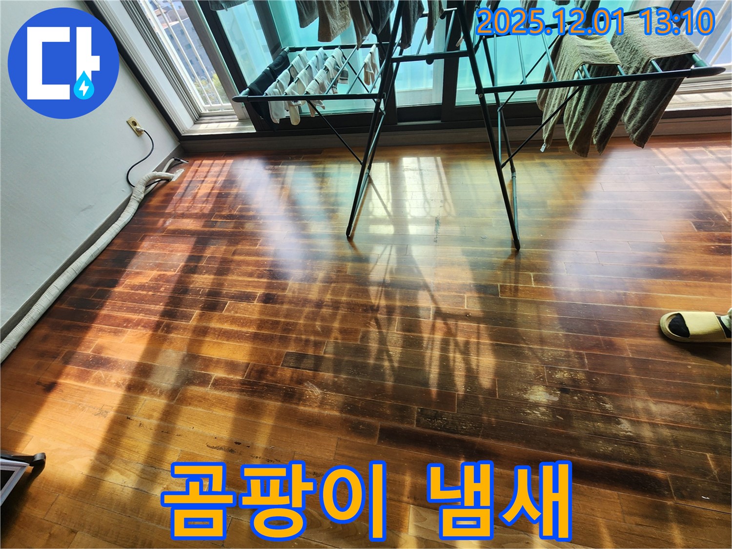 포천 이동면 마루 누수 - 곰팡이 냄새, 누수 가능성 면밀 진단