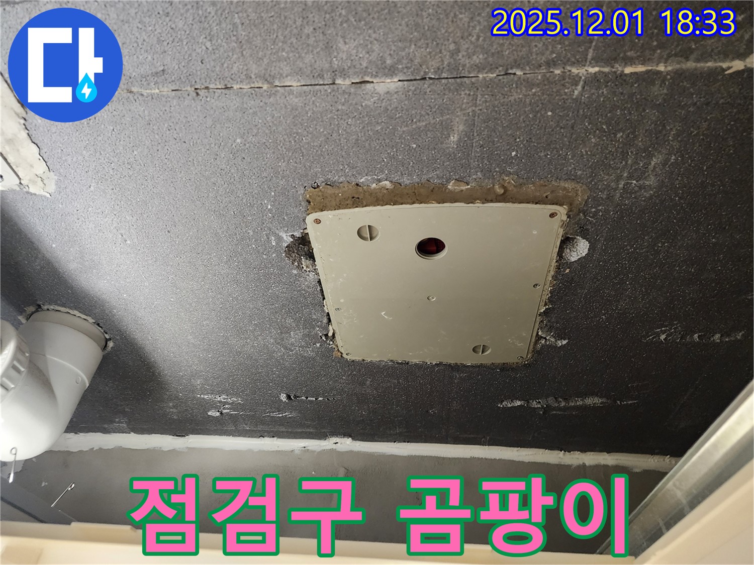 포천 이동면 연곡리 천장 누수 - 점검구 주변 곰팡이 발생 현장