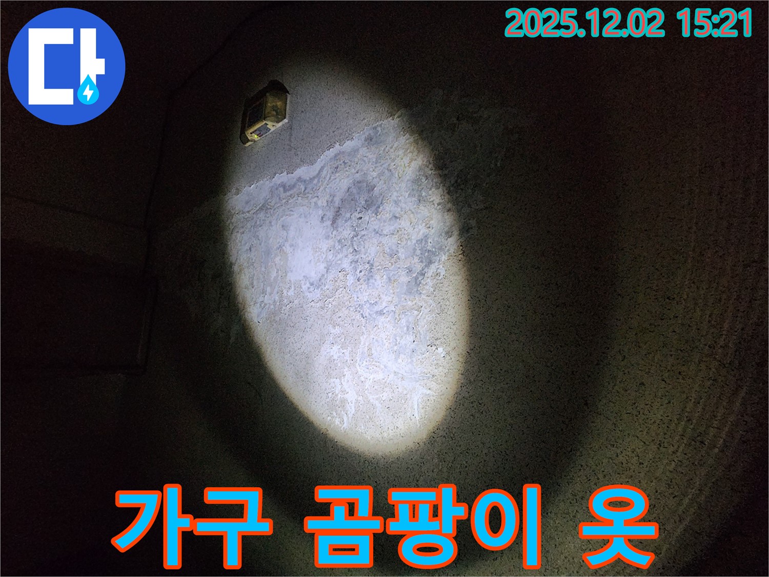 가구 곰팡이 냄새가 옷에 배었다면 세탁 후 햇볕에 말리세요