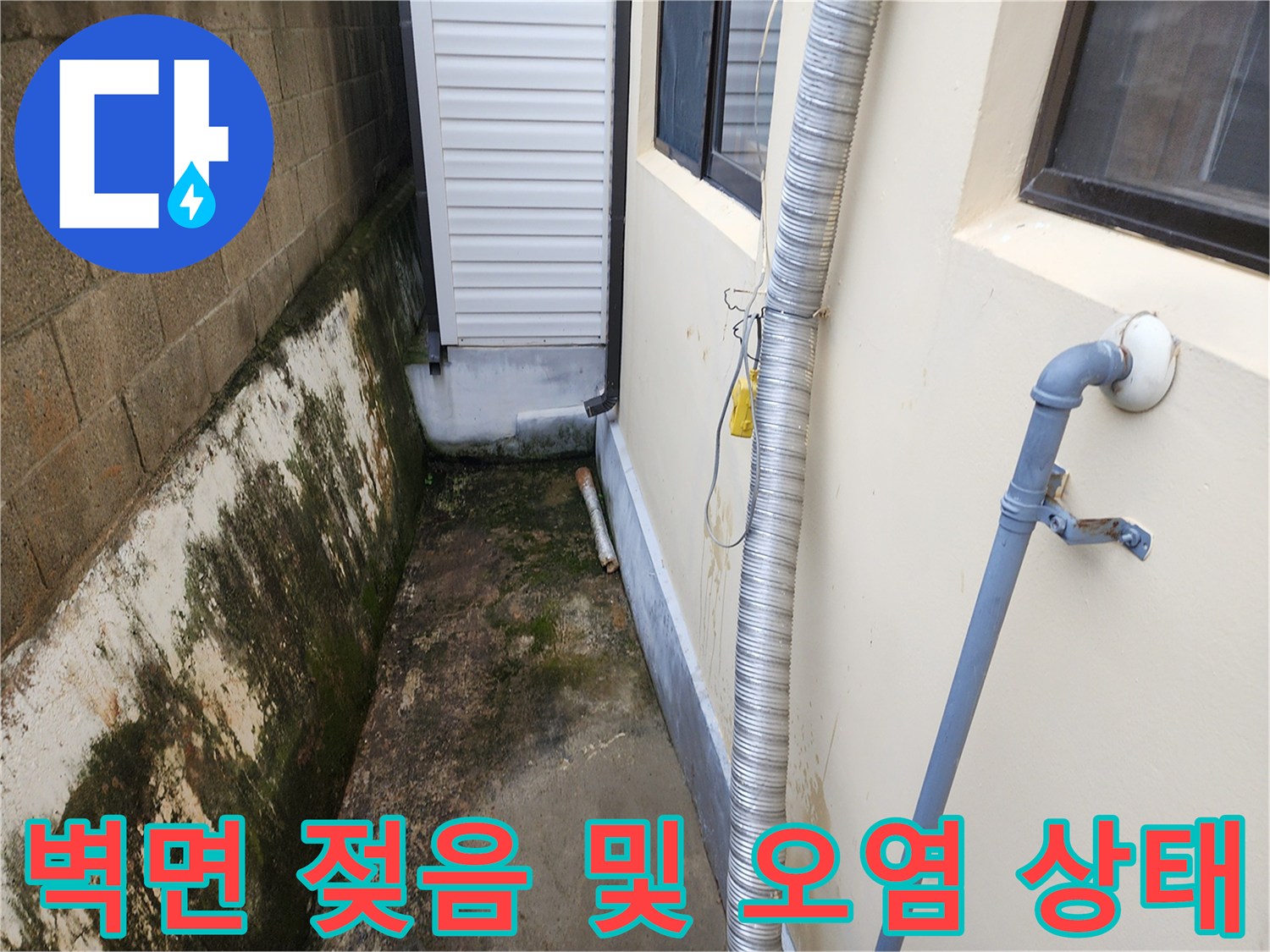 배관 아래쪽 벽돌 벽에 검은 곰팡이와 물기가 가득한 모습입니다.