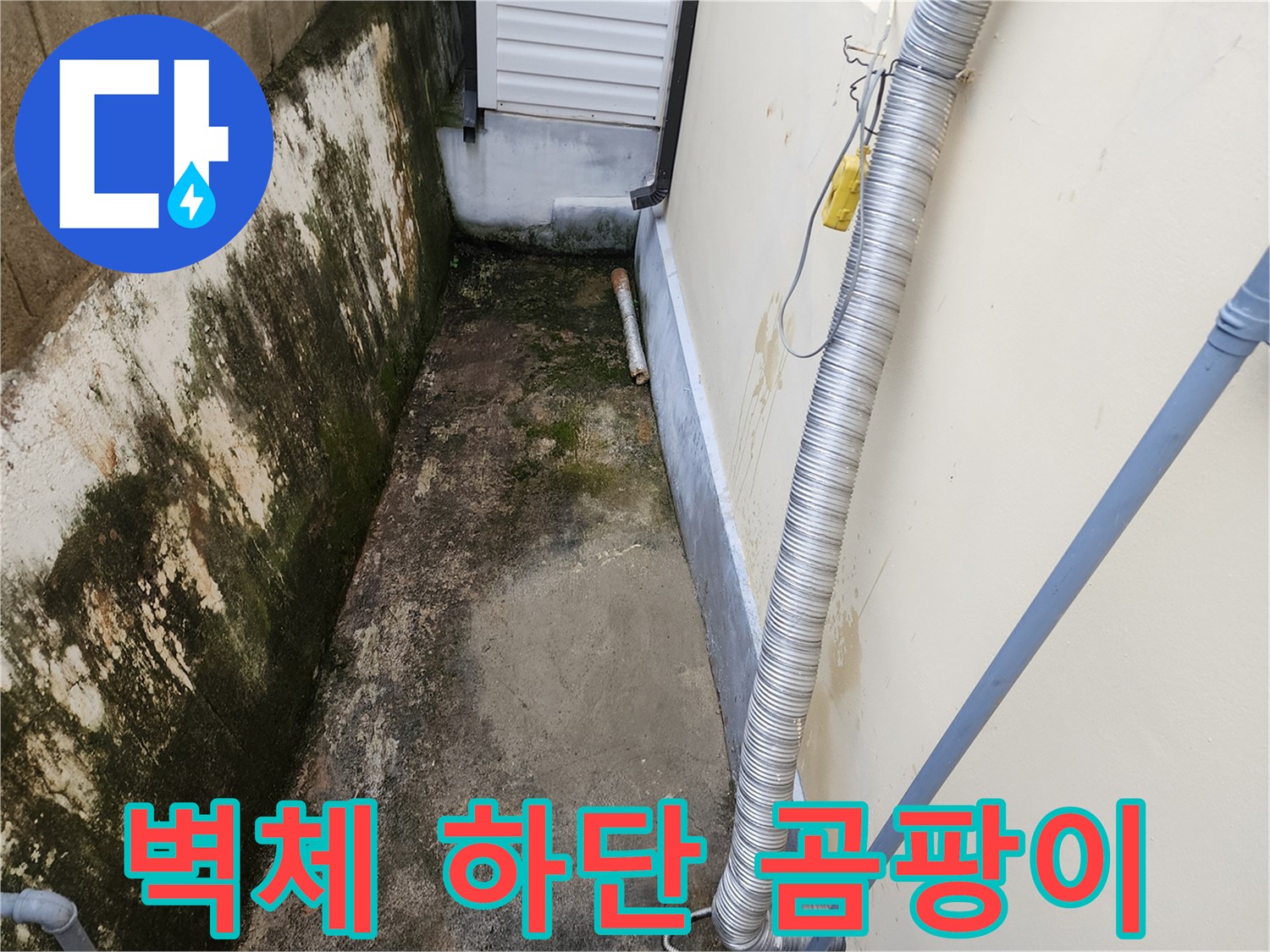 습기로 인해 곰팡이가 발생한 건물 외벽 사진입니다.