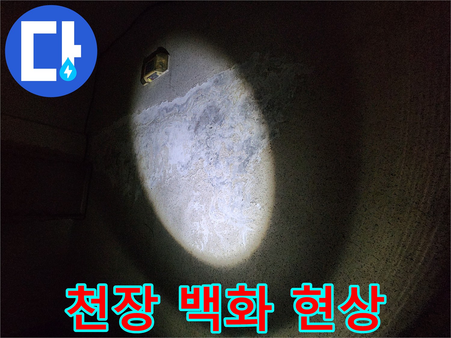 지하 주차장 천장 슬래브의 백화 현상 이미지