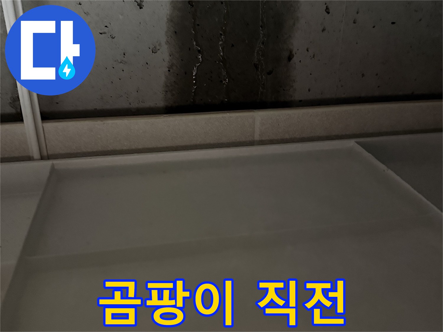 동두천 지행동 동양엔파트 108동 - 벽 젖음 - 곰팡이 발생 직전 긴급 해결