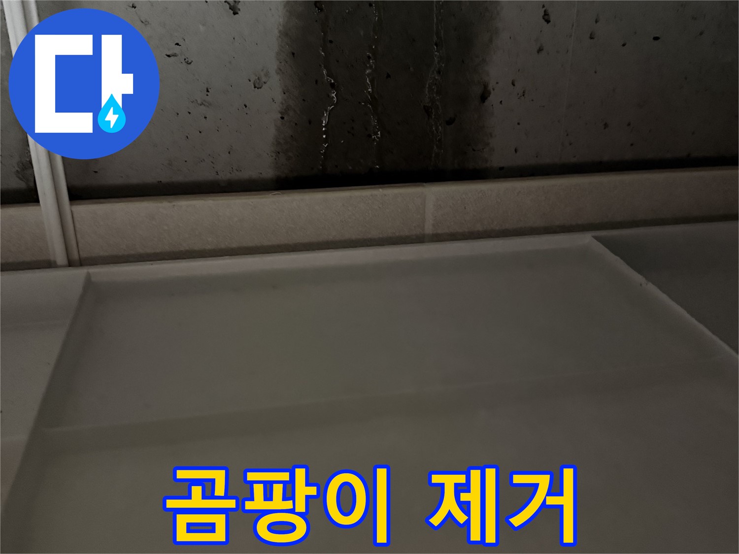 동두천 지행동 동양엔파트 108동 - 젖은 벽 - 누수 해결 후 완벽 건조