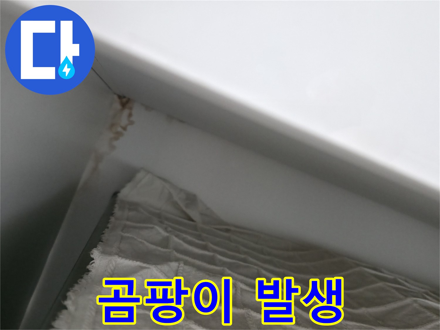 마포구 중동 건영 월드컵 아파트 - 곰팡이 발생, 누수를 의심해 보세요