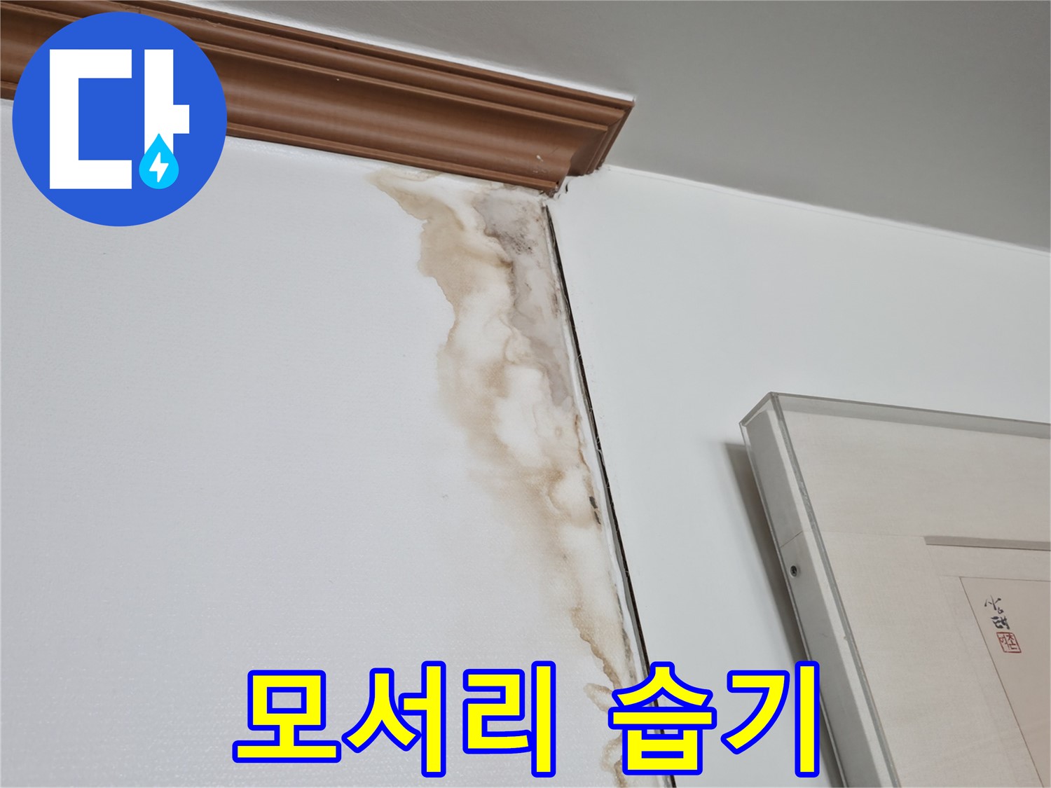 마포구 중동 건영 월드컵 아파트 - 벽 모서리 습기, 누수 가능성