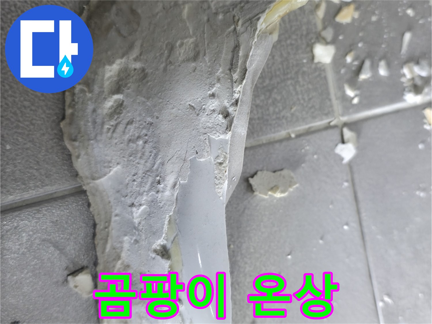 마포구 중동 건영아파트 - 깨진 도기 뒷면 - 곰팡이 서식 환경