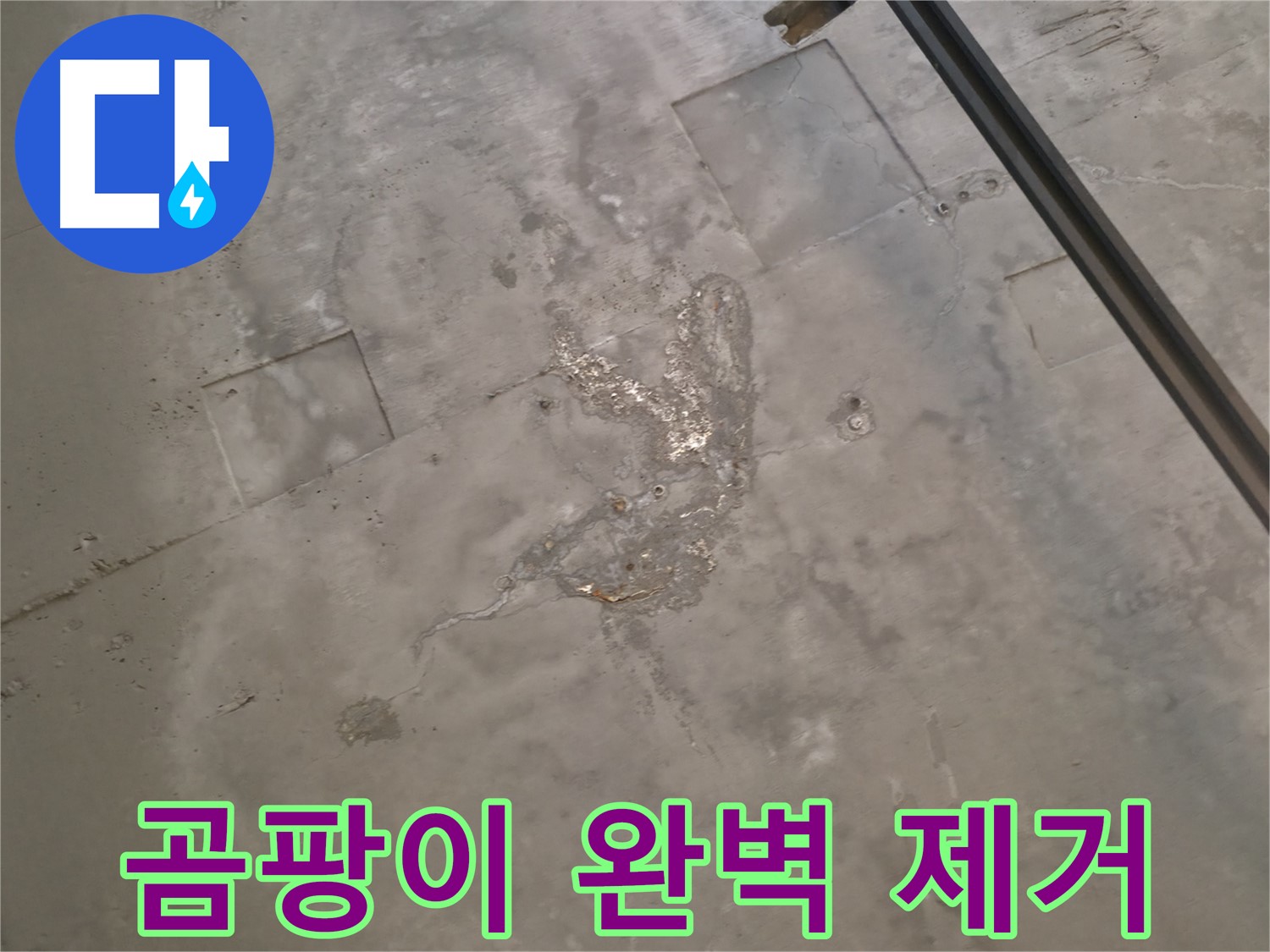 권선구 천장 곰팡이 - 누수 해결 후 완벽하게 곰팡이 제거