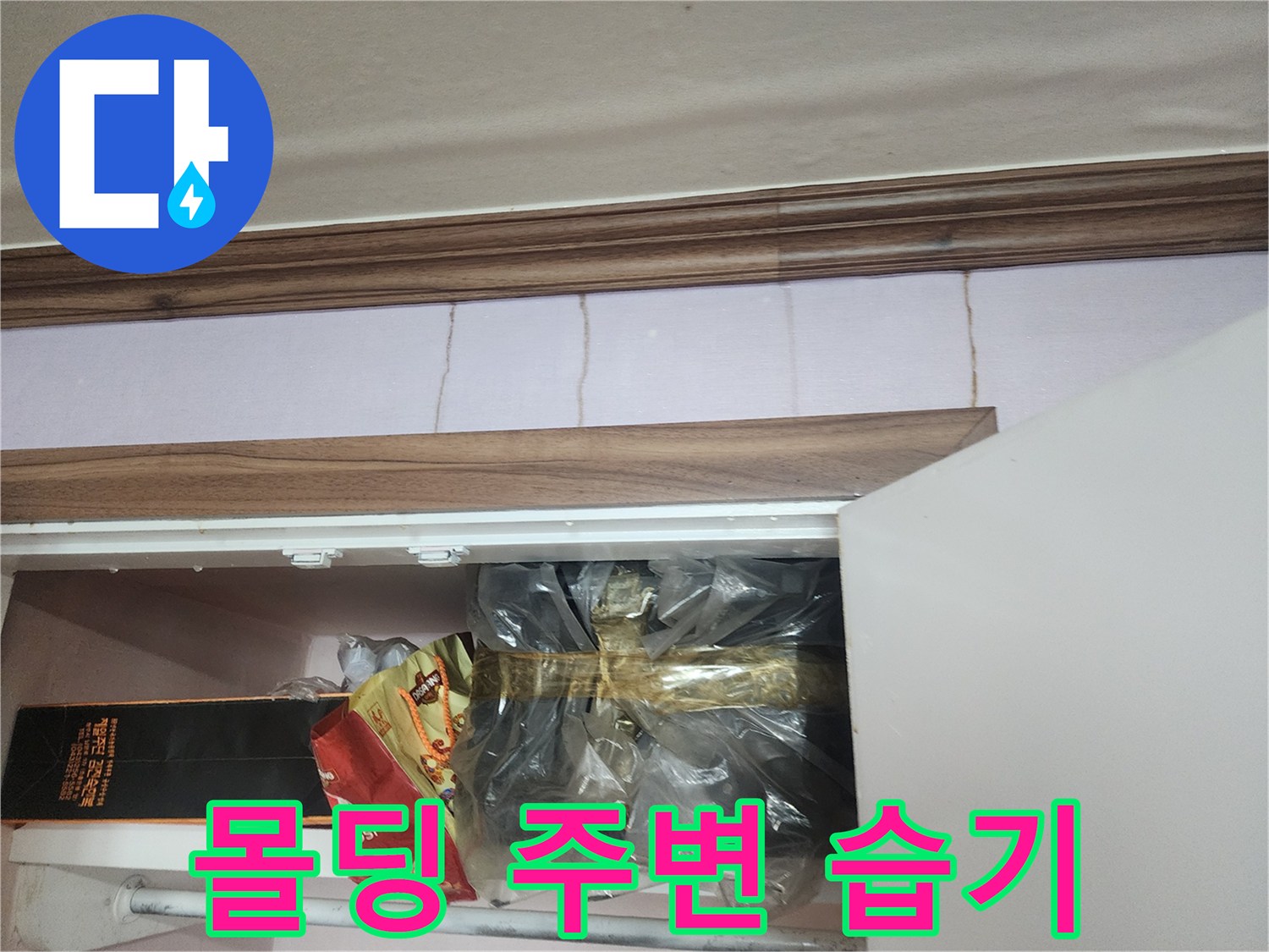 천장 몰딩 하단부의 젖은 벽지 상태 - 누수 지점 추적 중