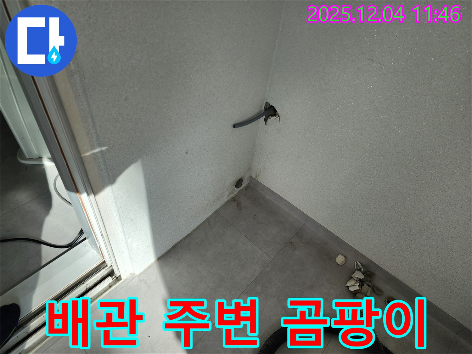 포천시 일동면 기산리 누수 - 배관 주변 곰팡이 - 건강 위협