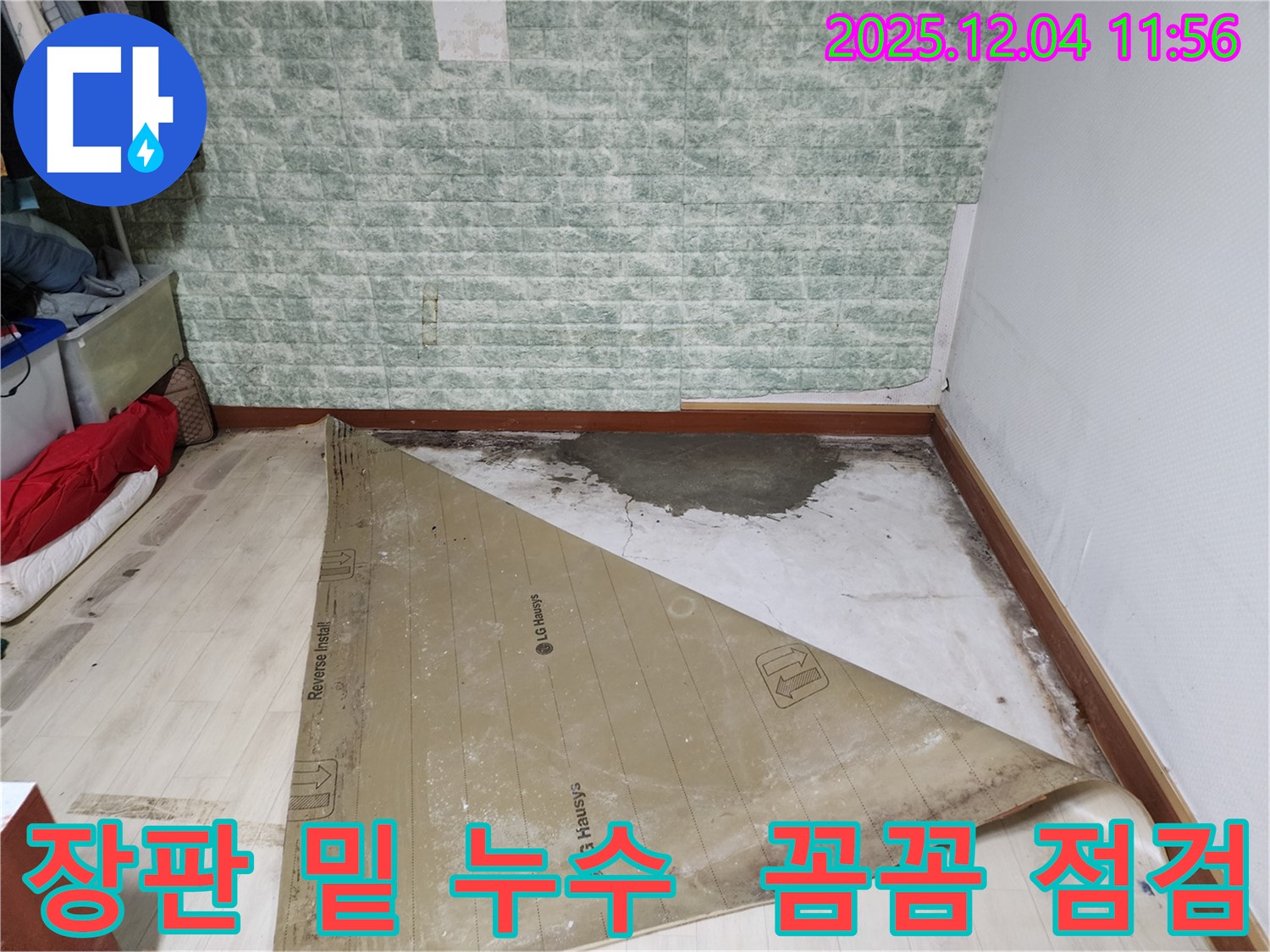 포천시 일동면 기산리 누수 현장 - 장판 밑 누수 꼼꼼 점검