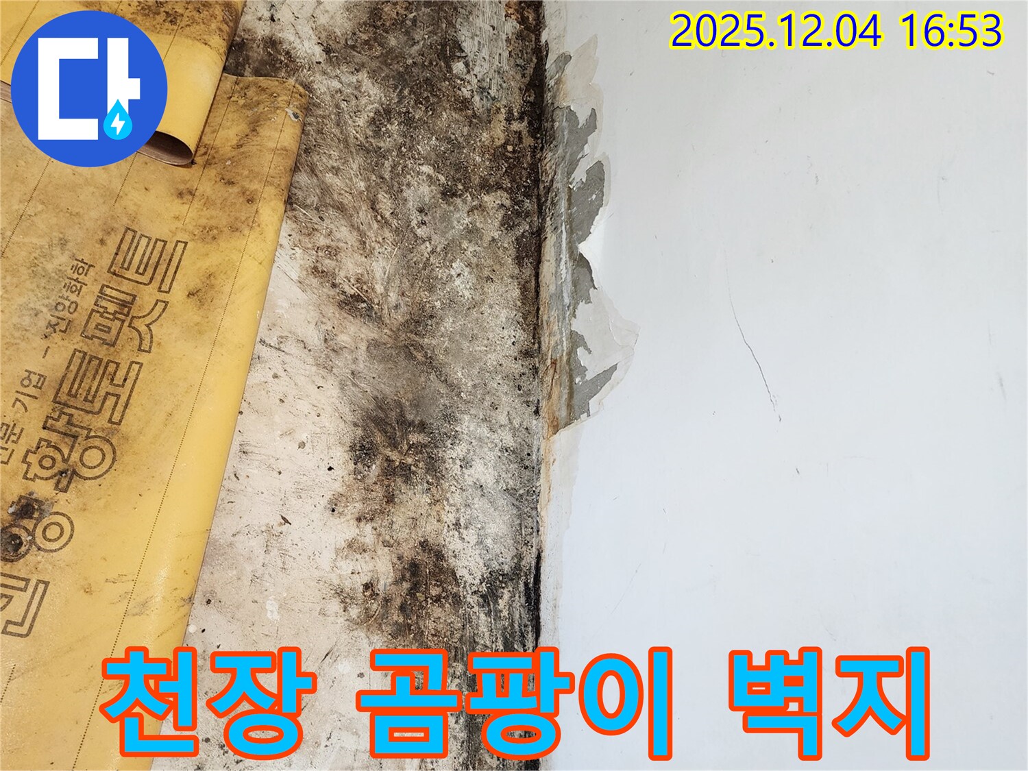 천장 곰팡이와 벽지 손상 - 꼼꼼한 제거 및 복원 작업