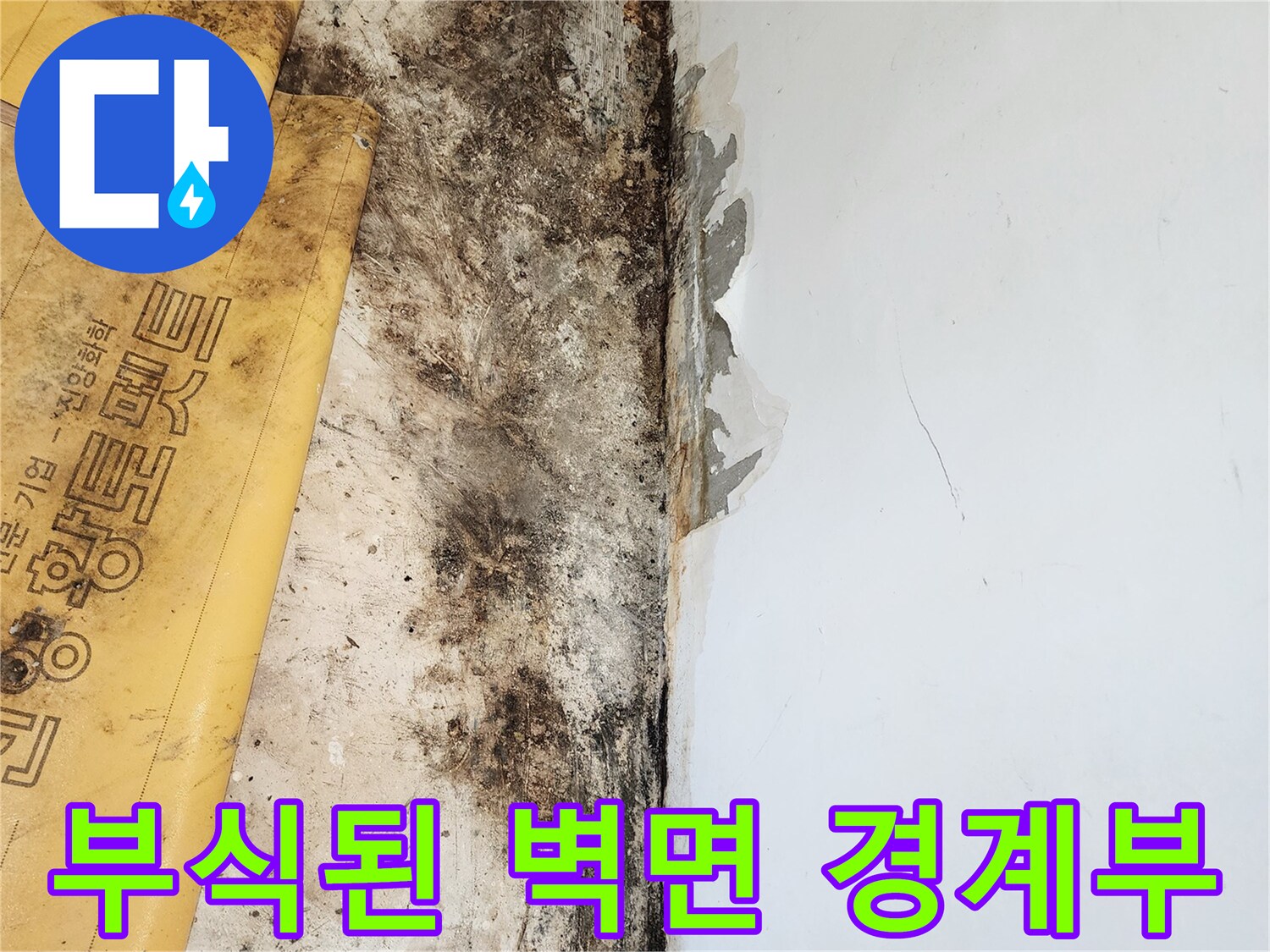 포천 일동면 현장-곰팡이로 오염된 바닥 모서리