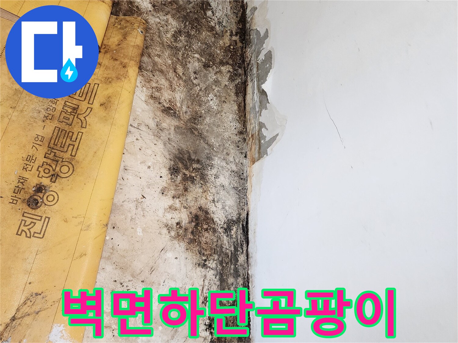 포천 일동면 현장의 벽면 하단 곰팡이와 습기 상태