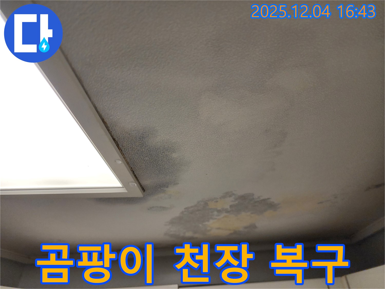 포천시 일동면 화대리 누수 - 곰팡이로 오염된 천장 복구 공사 진행