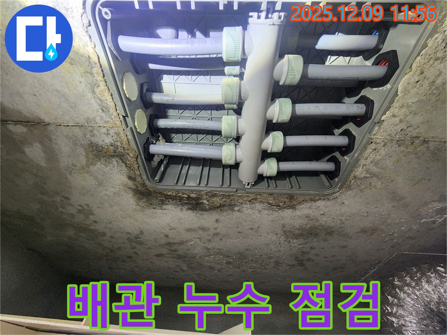 김포 구래동 아파트 배관 누수 점검 - 꼼꼼한 전문가의 손길로 누수 위험을 사전에 차단합니다.