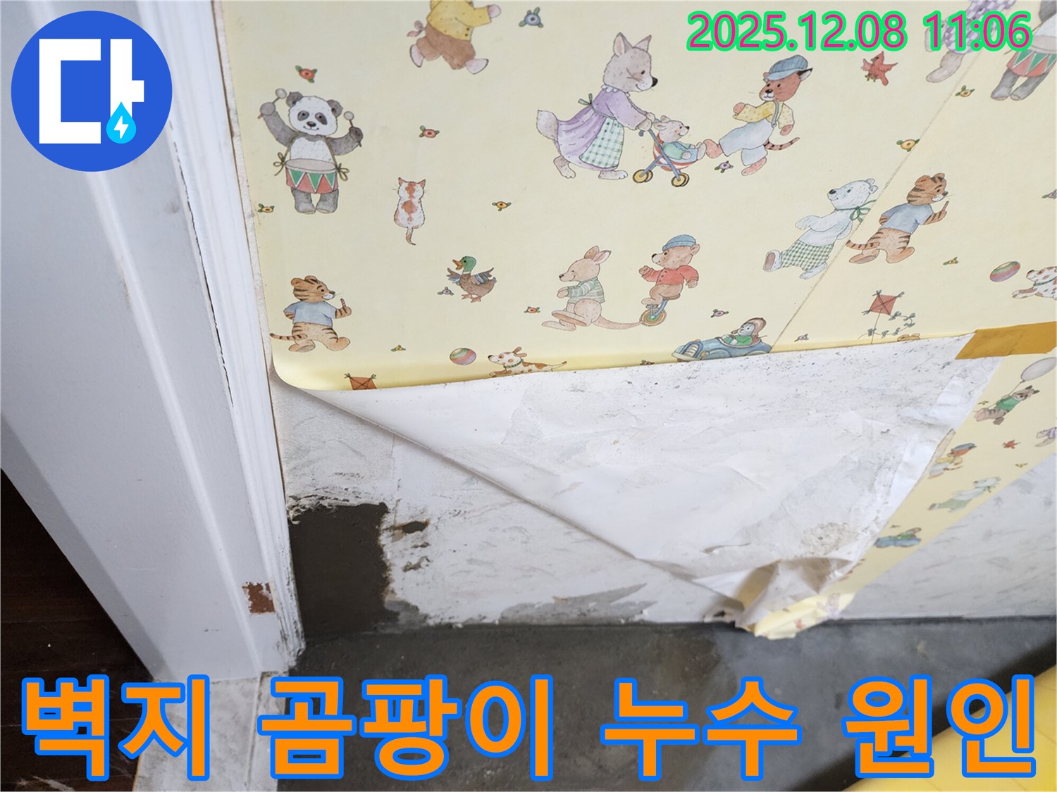 영중면 거사리 누수 현장 - 벽지 곰팡이 발생, 누수 원인 탐색