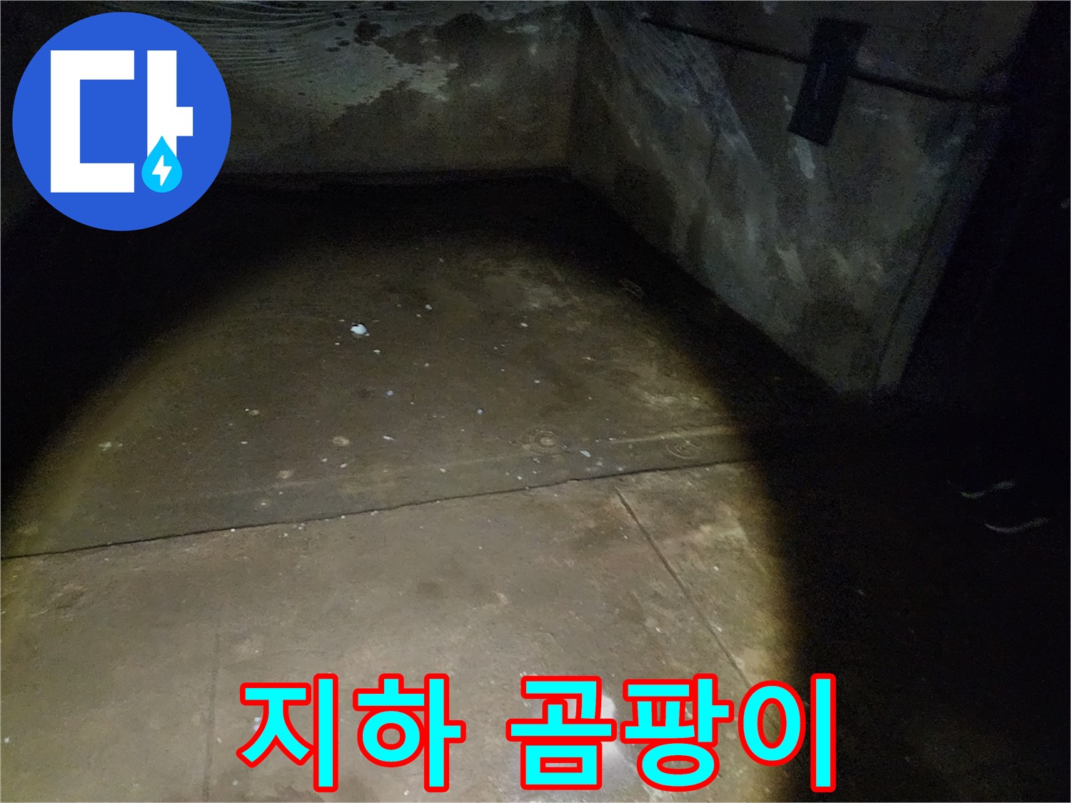 월계동 아파트 지하 누수 - 곰팡이 발생 가능성 진단