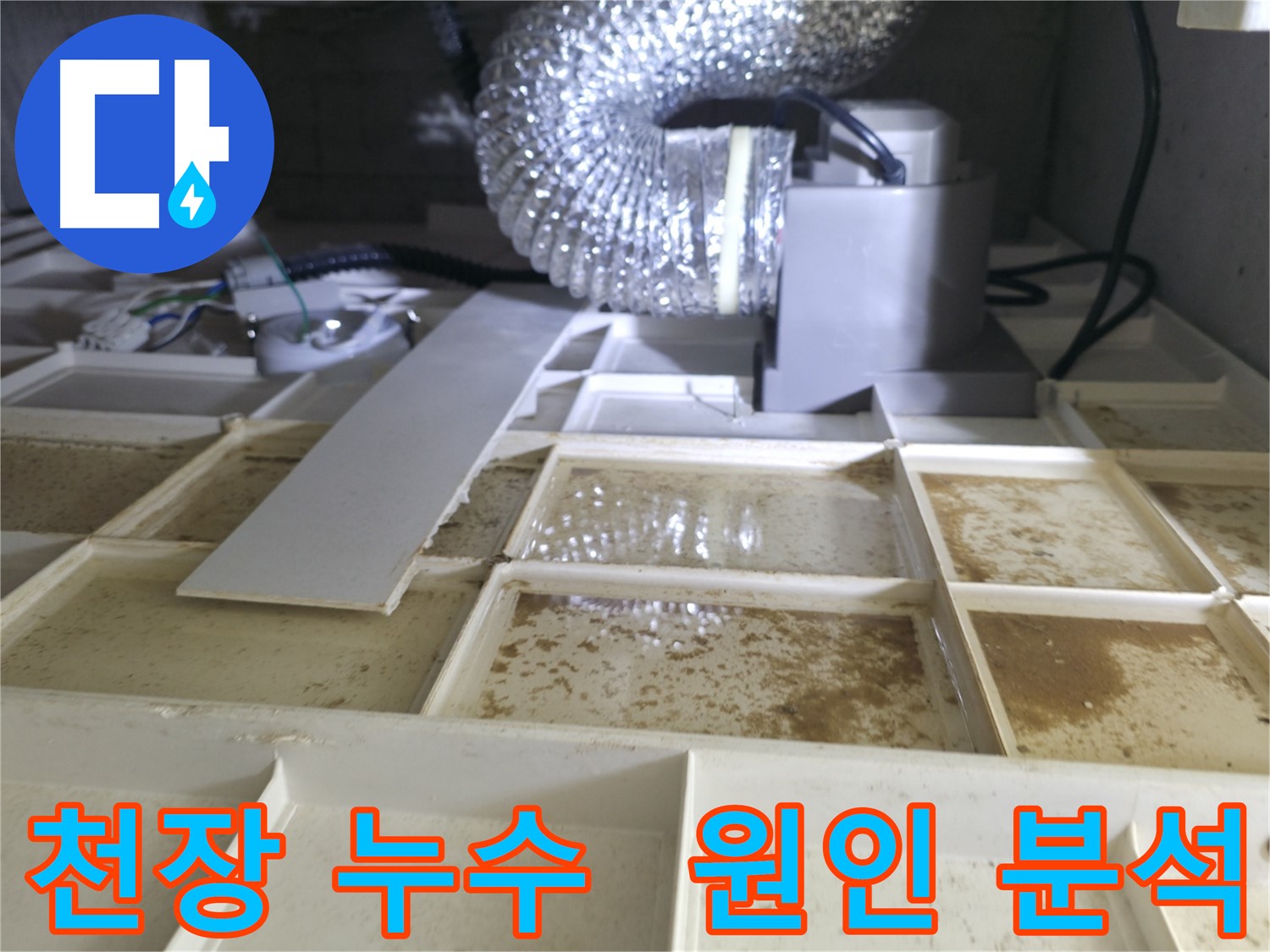 천장 물 떨어짐 문제 해결을 위한 누수 원인 분석 과정
