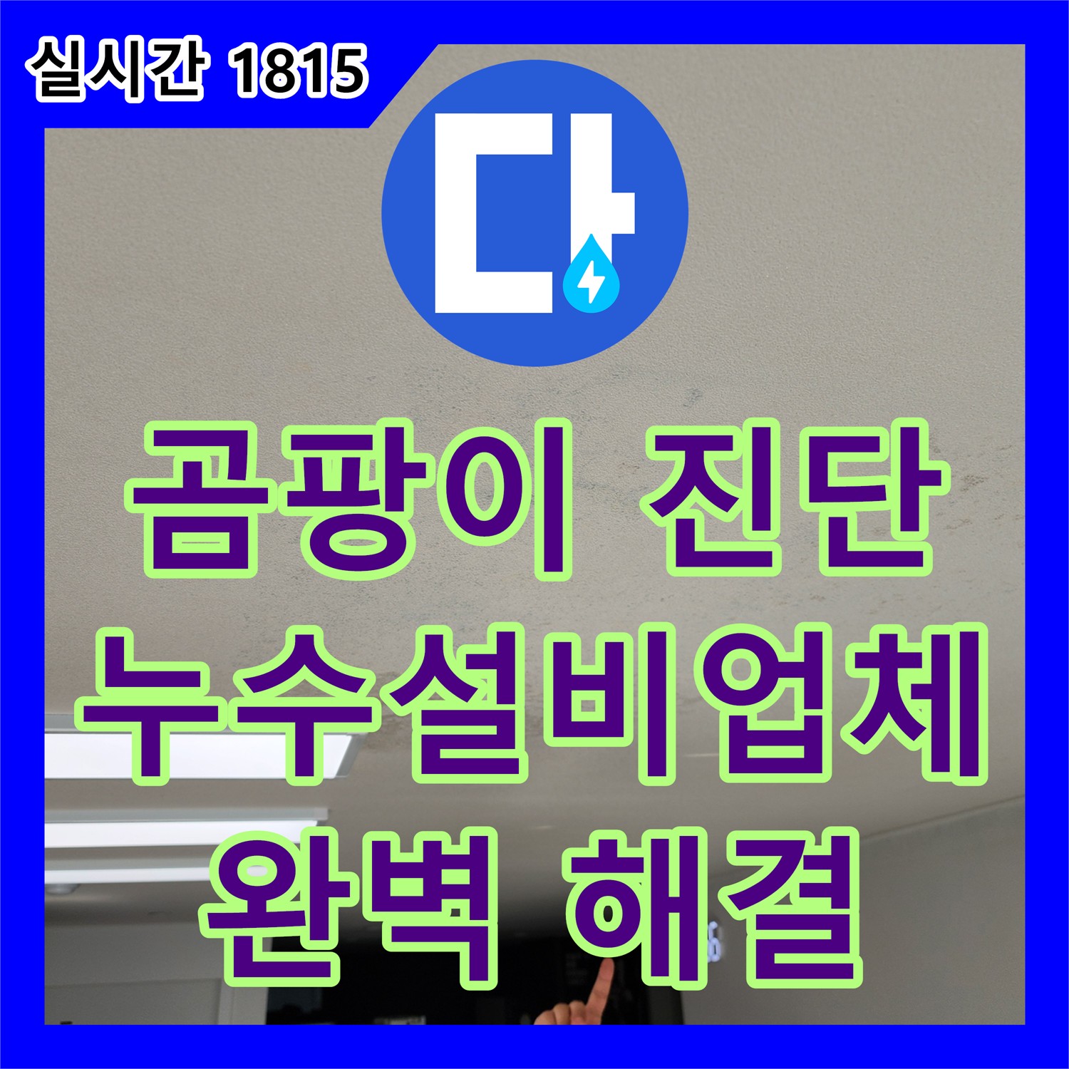 곰팡이 발생 사전 진단, 누수설비 누수설비업체- 포천시