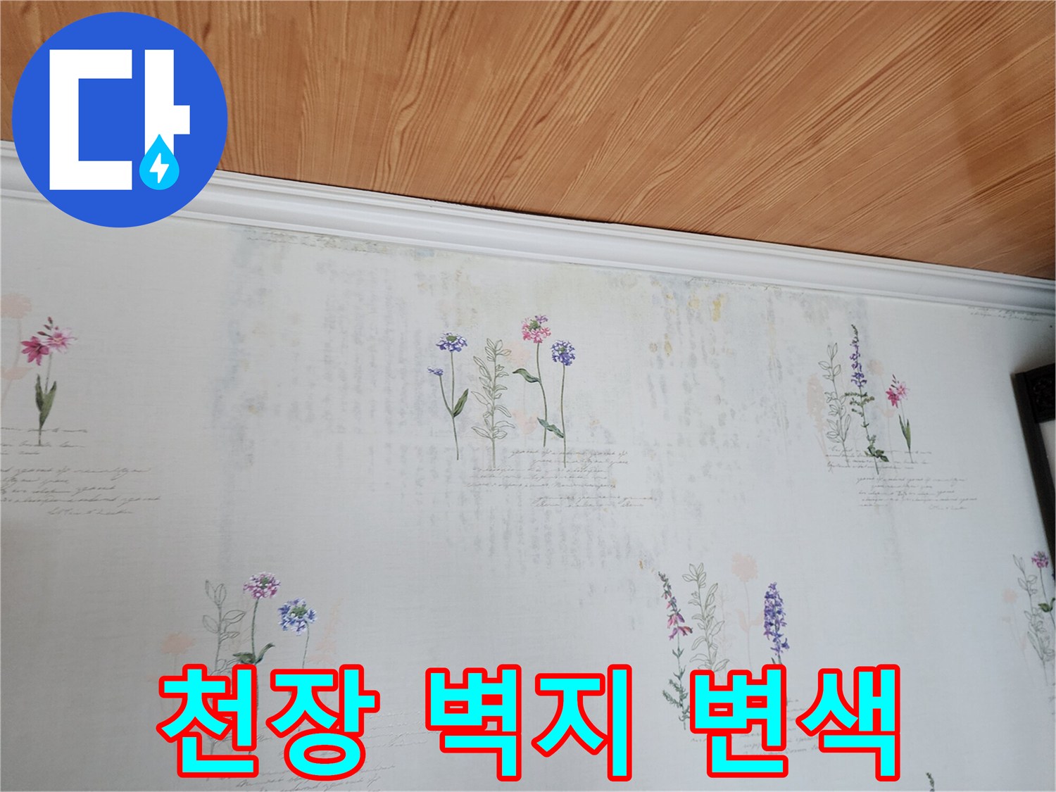 벽지 상단부의 불규칙한 얼룩 및 습기 흔적