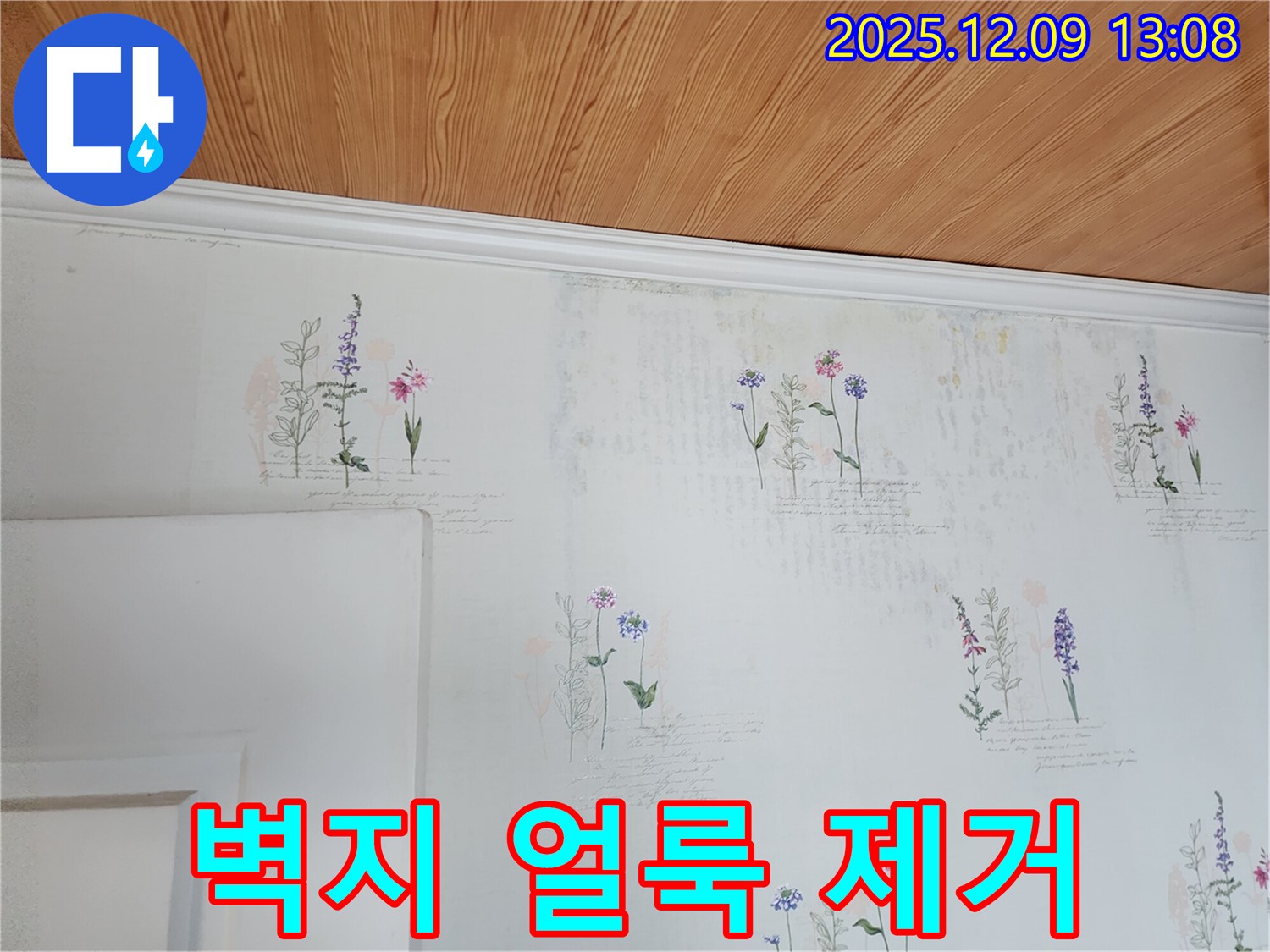 벽지 얼룩 제거 - 누수 해결 - 완벽 시공