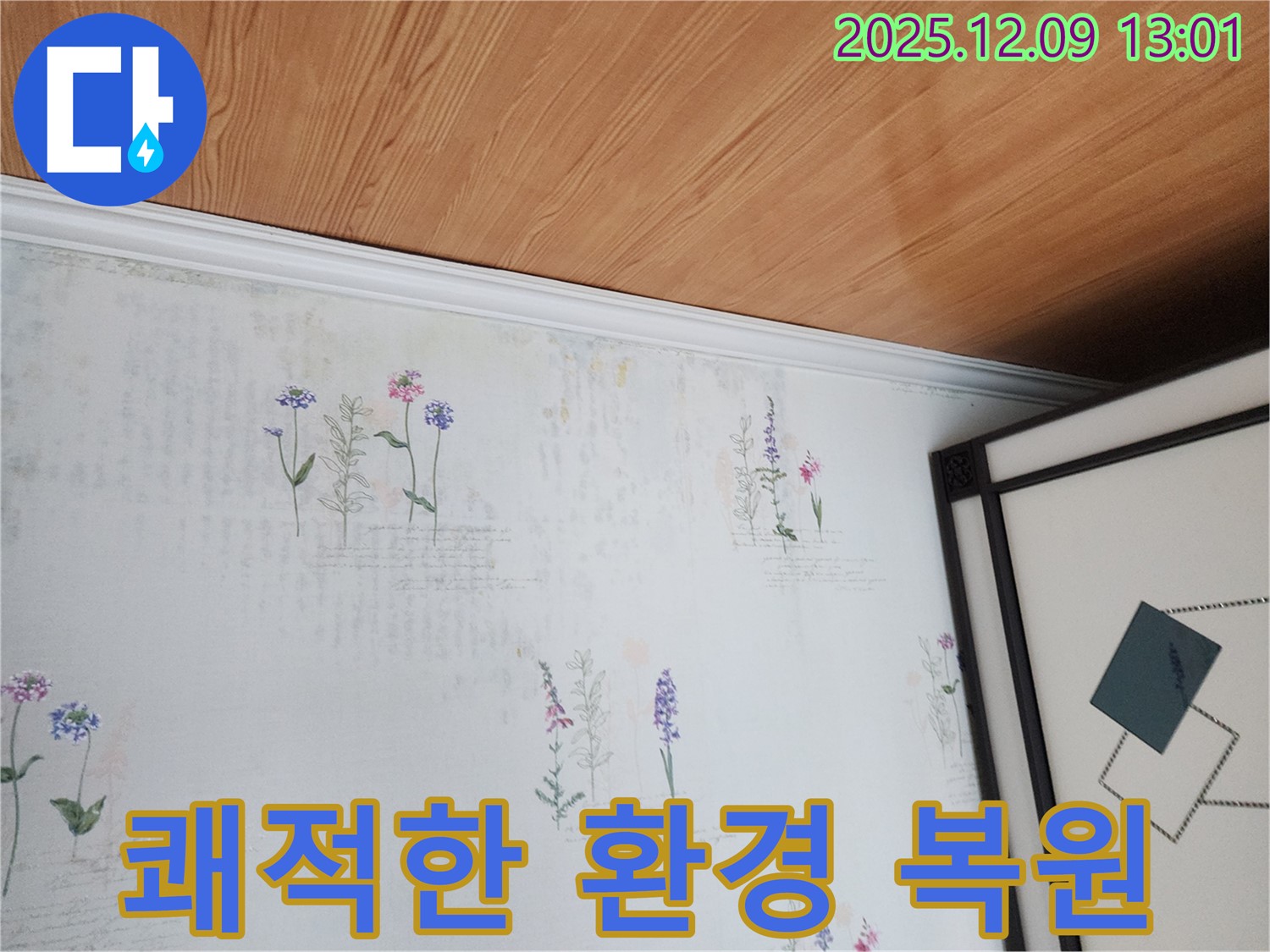 영중면 성동리 누수 현장 - 곰팡이 완벽 제거 및 쾌적한 환경 복원
