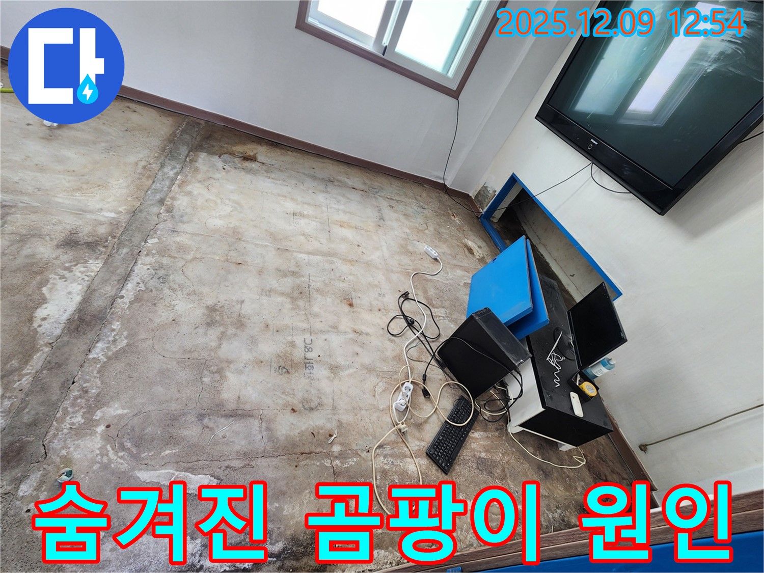 영중면 성동리 사무실 누수 - 곰팡이 냄새 진동, 숨겨진 원인을 찾아 해결합니다!