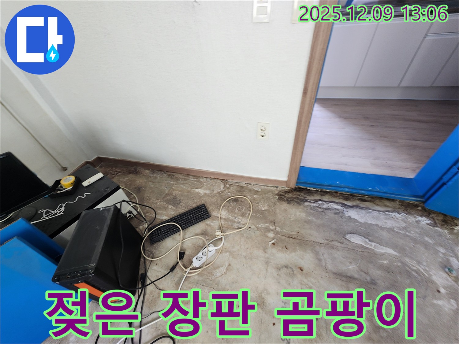 젖은 장판 - 곰팡이와 악취 - 건강을 위협합니다.