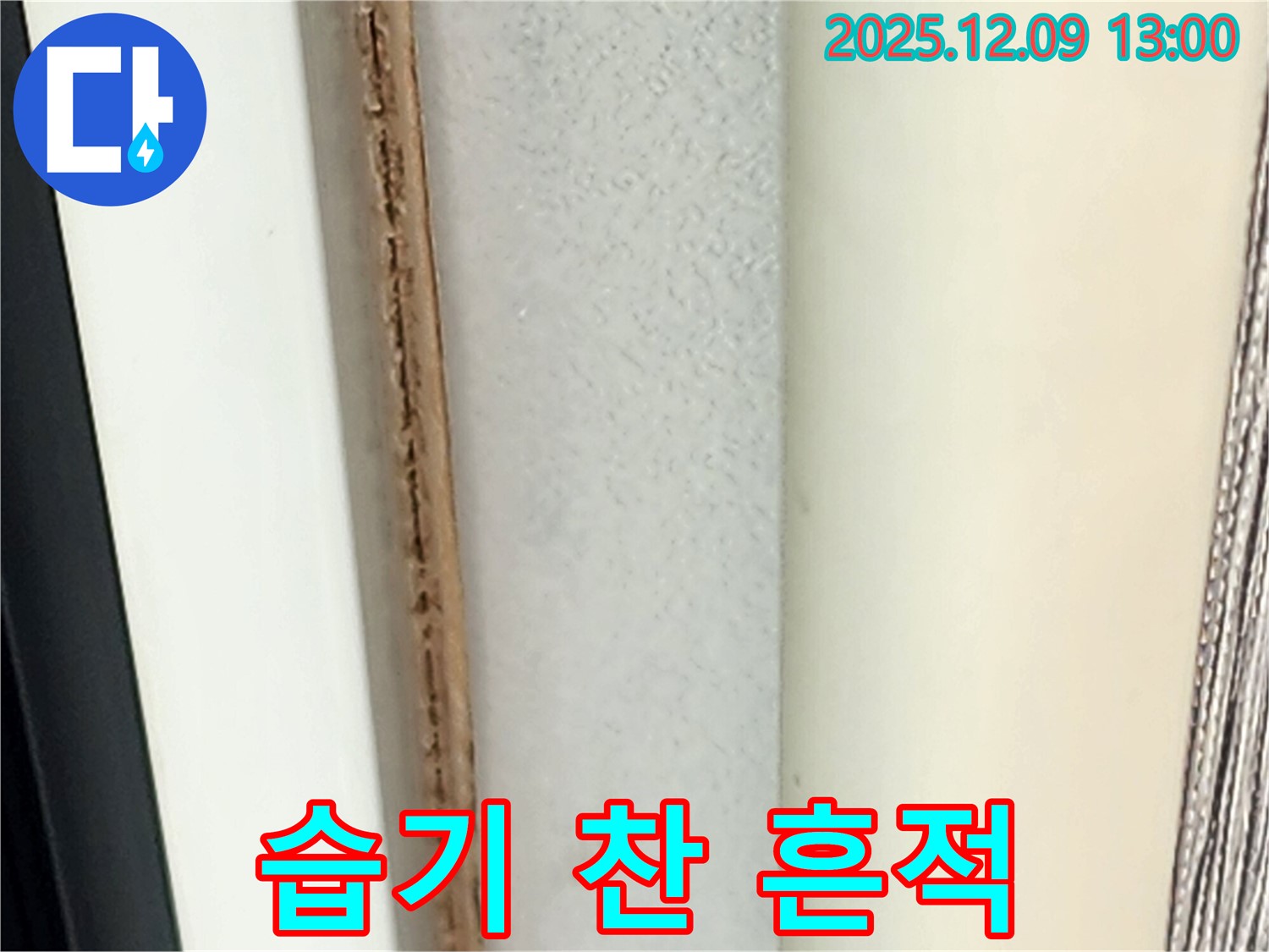 창틀 주변 습기 찬 흔적 - 누수 초기 증상일 수 있습니다.