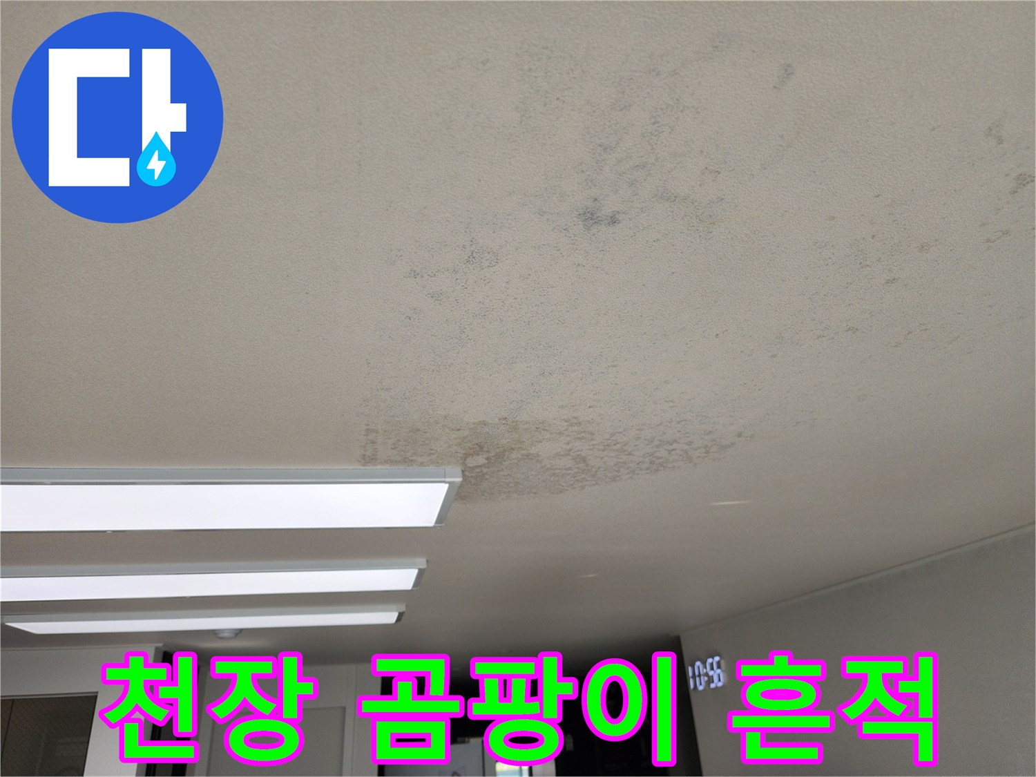 천장-마감재-위의-곰팡이-얼룩