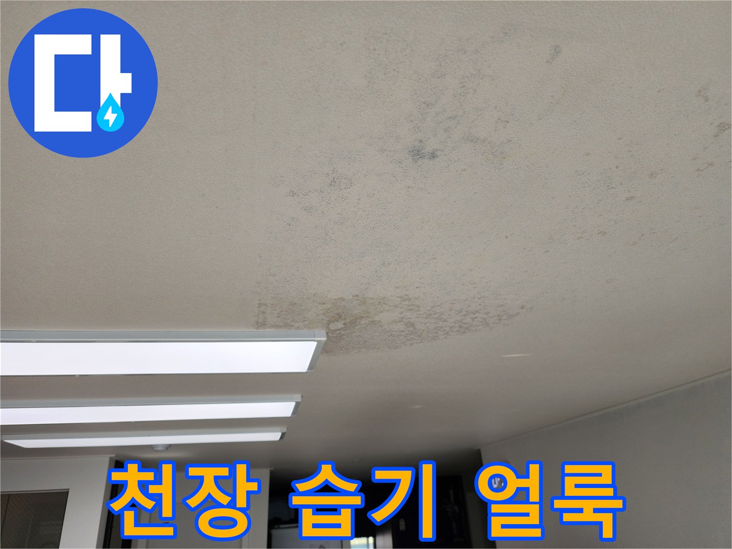 천장 마감재의 넓은 범위에 퍼진 습기 자국