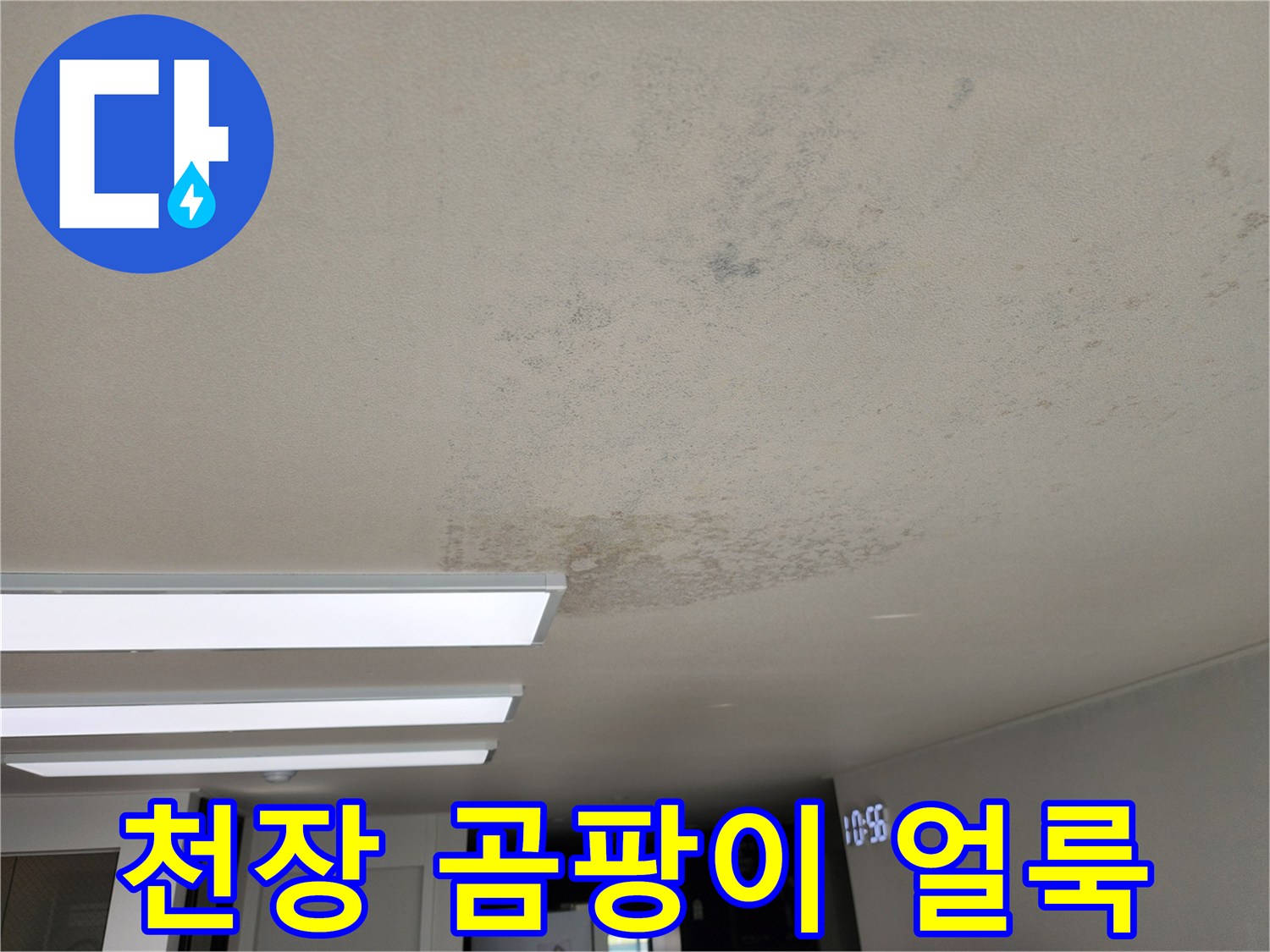 천장-벽면-곰팡이와-누수-흔적