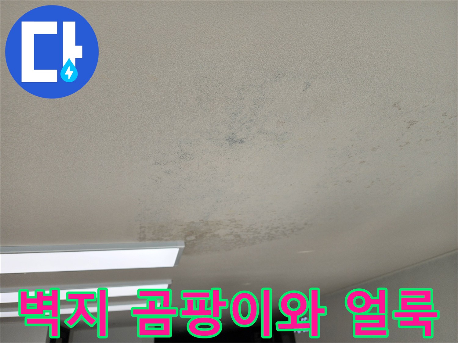천장 벽지에 넓게 퍼진 곰팡이 및 변색된 부위