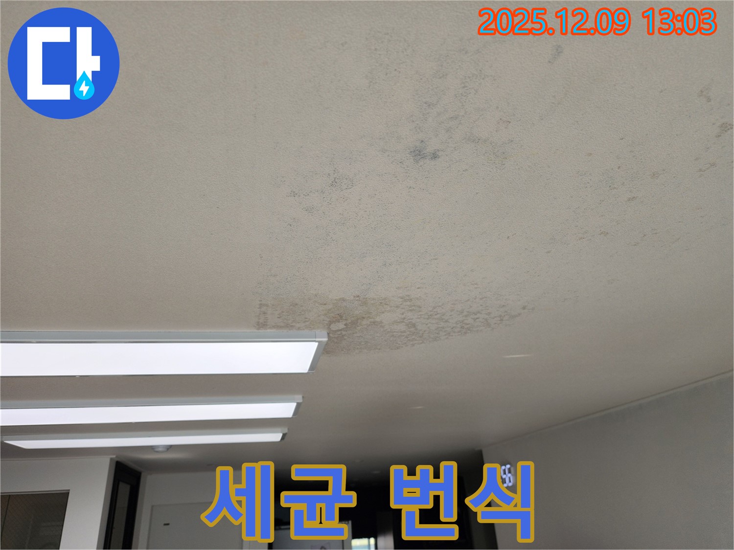 포천 영중면 - 곰팡이, 악취, 세균 번식 - 꼼꼼하게