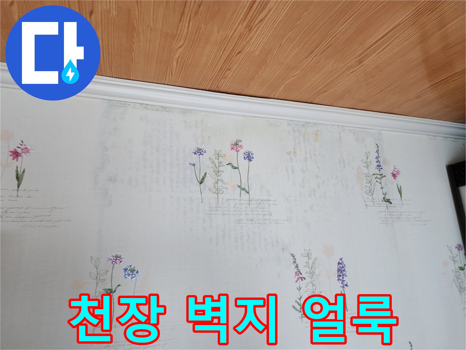 포천 영중면 현장의 천장 벽지 변색 및 얼ument 상태