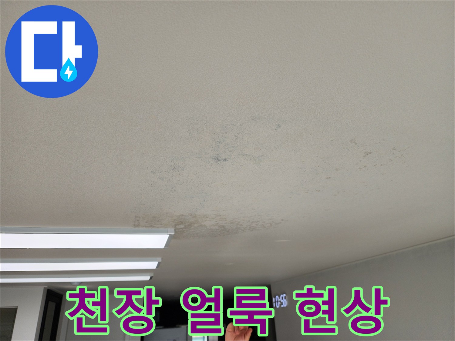 포천 영중면 현장의 천장 벽지 얼룩과 곰팡이 흔적