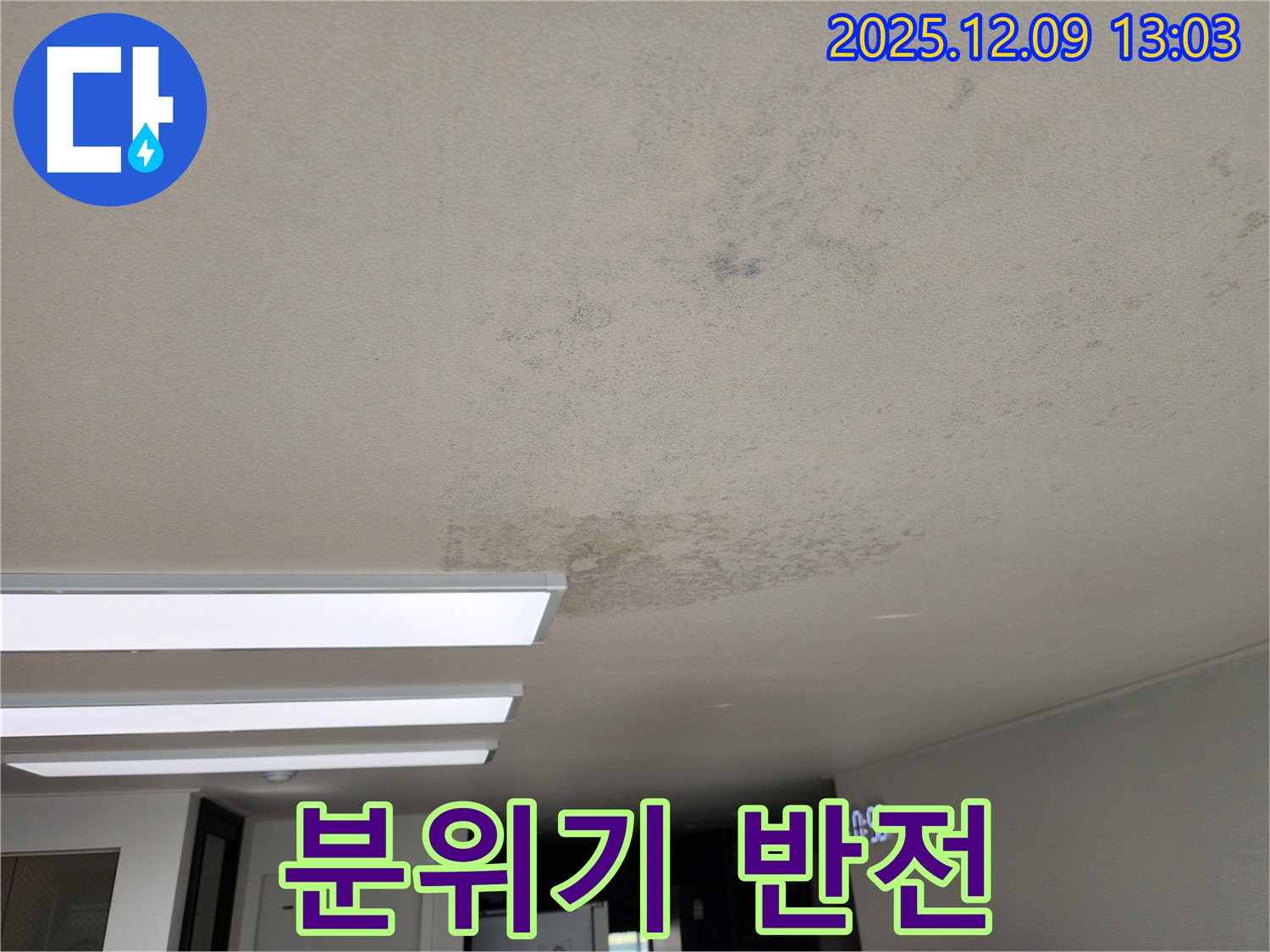 포천시 영중면 성동리 - 곰팡이 칙칙한 분위기 반전