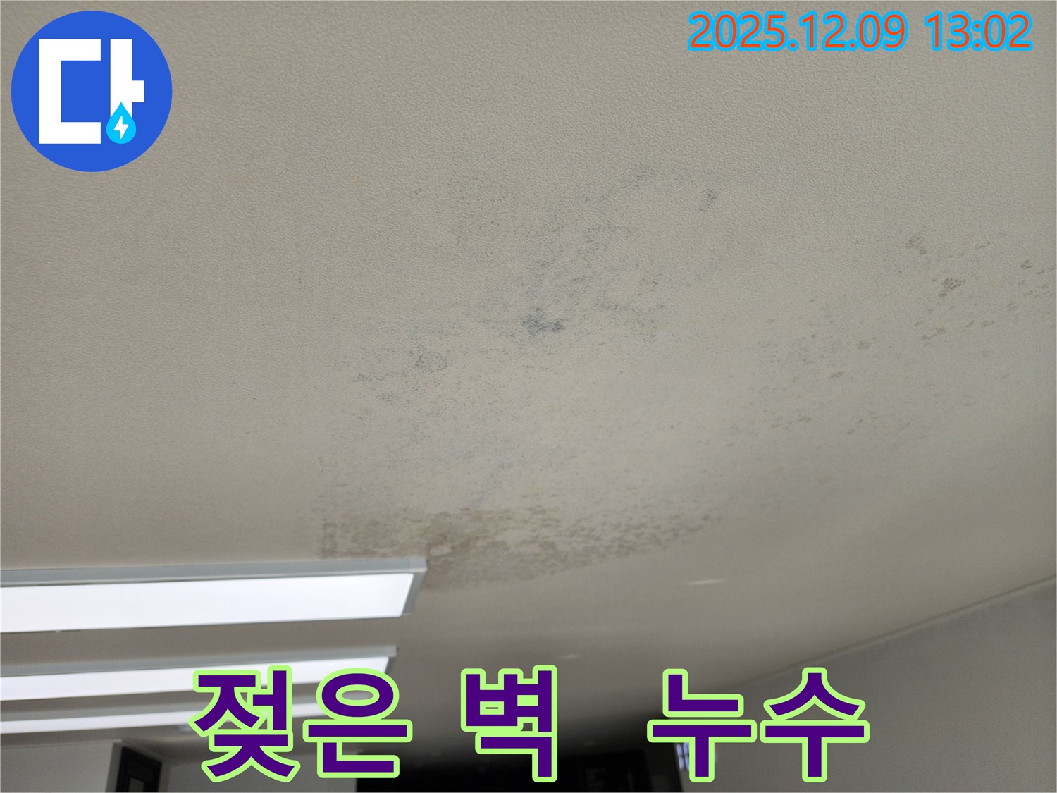 포천시 영중면 성동리 천장 누수 - 누수 때문에 벽이 젖었다면, 즉시 전문가에게 문의하세요!