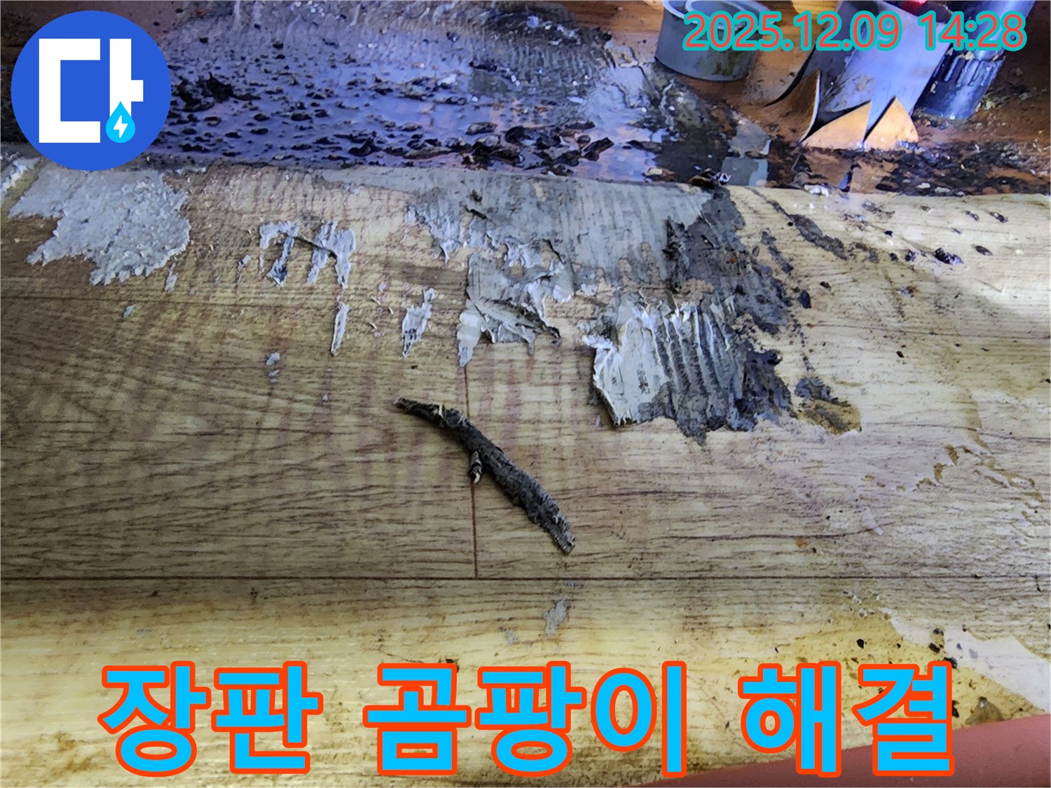 영중면 금주리 누수 해결 - 젖은 장판, 곰팡이 냄새, 완벽 해결