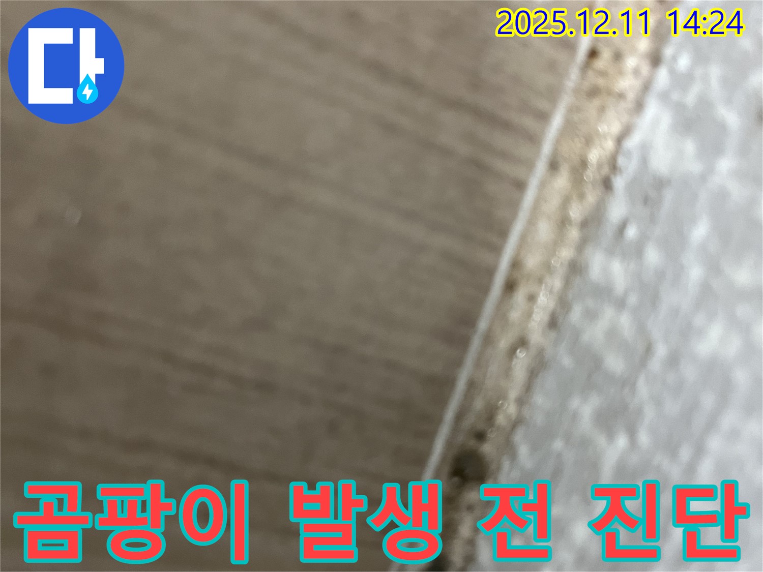 성산동 누수탐지 - 곰팡이 발생 전 누수 진단으로 문제 예방