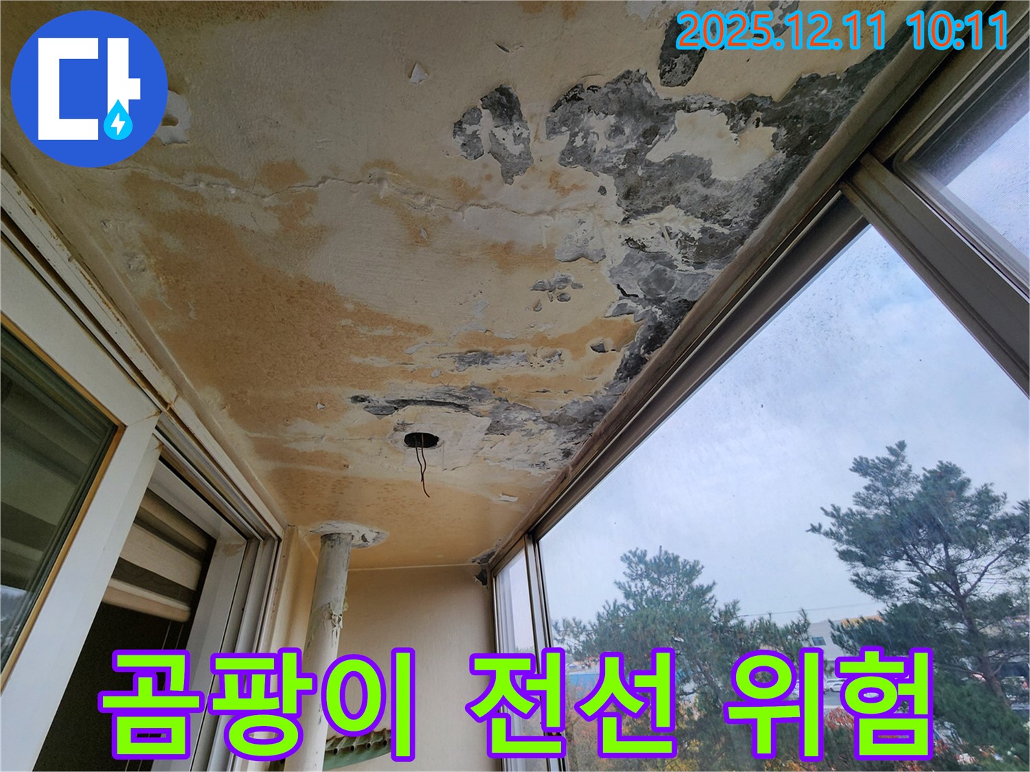 곰팡이 - 전선 노출 - 감전 위험 경고