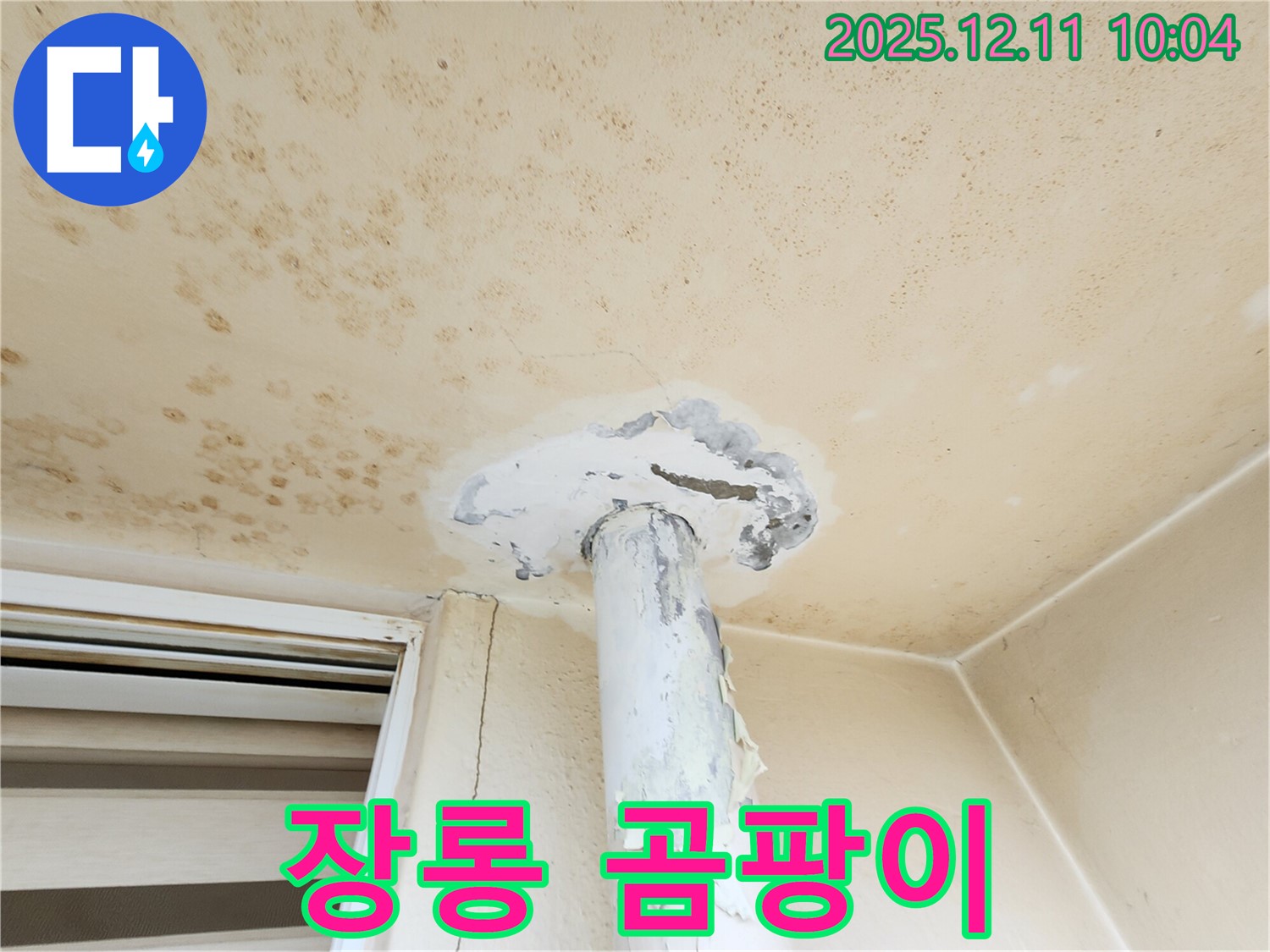 곰팡이 천장 - 장롱까지 곰팡이가?!