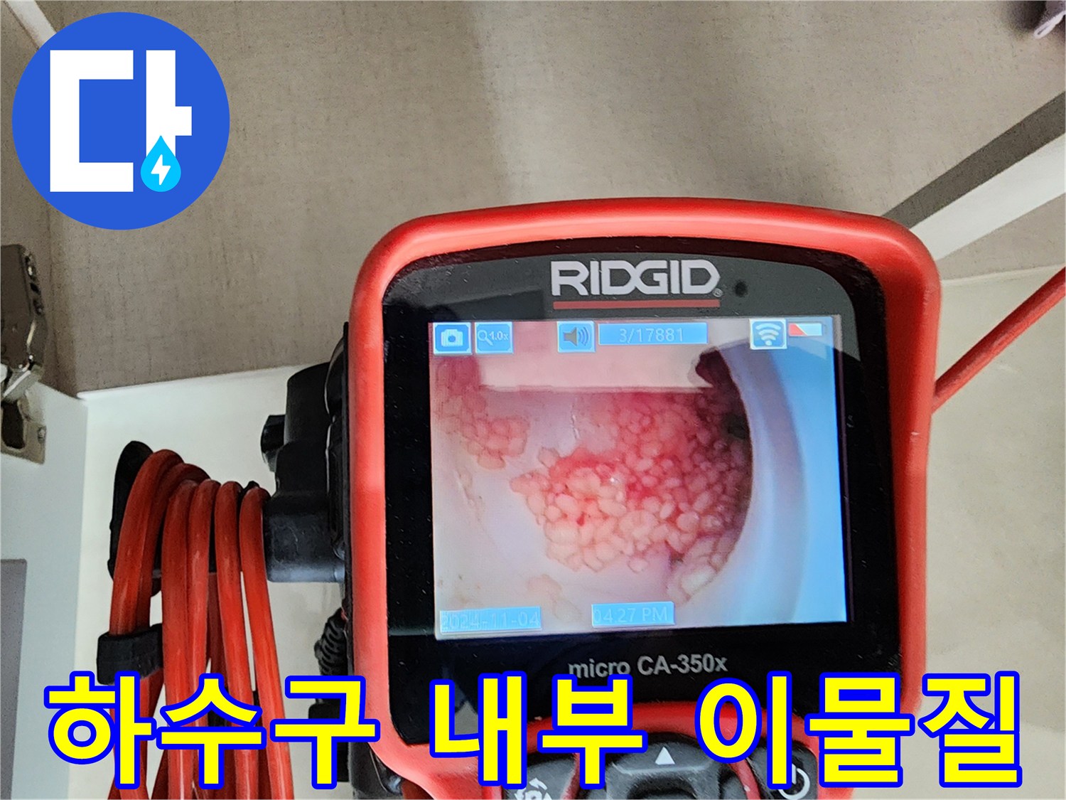 배수관 내부에 쌓여 있는 하얀색 유지방 덩어리 및 퇴적물