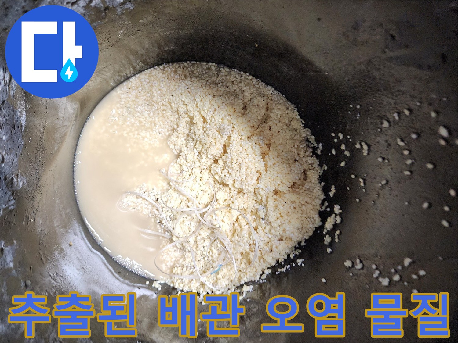 배수관 통관 작업 후 수거된 유지방 슬러지 덩상