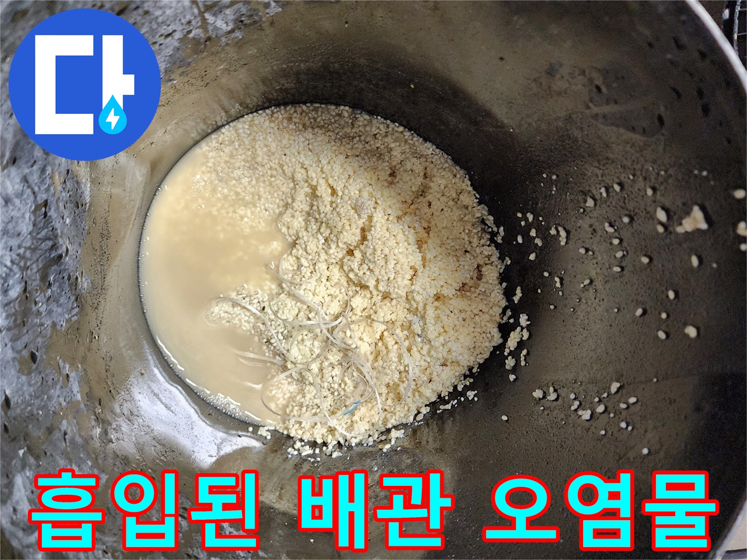 석션 장비로 뽑아낸-탁한 물과 배관 내 유지방 찌꺼기