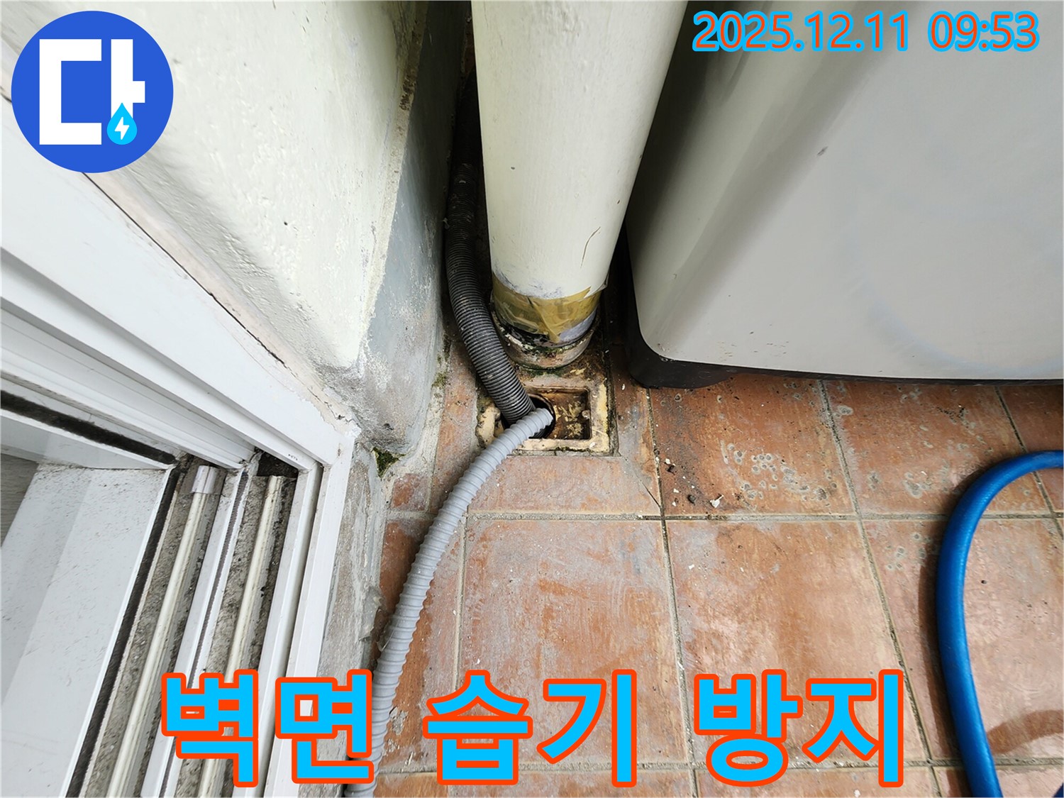 세탁기 배수구 주변 벽면 습기 및 곰팡이 확산 방지 - 꼼꼼한 조치