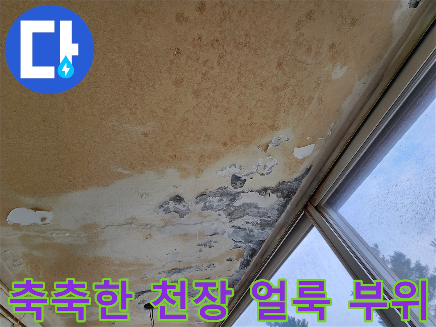 습기로-오염된-베란다-천장-면의-상세-모습