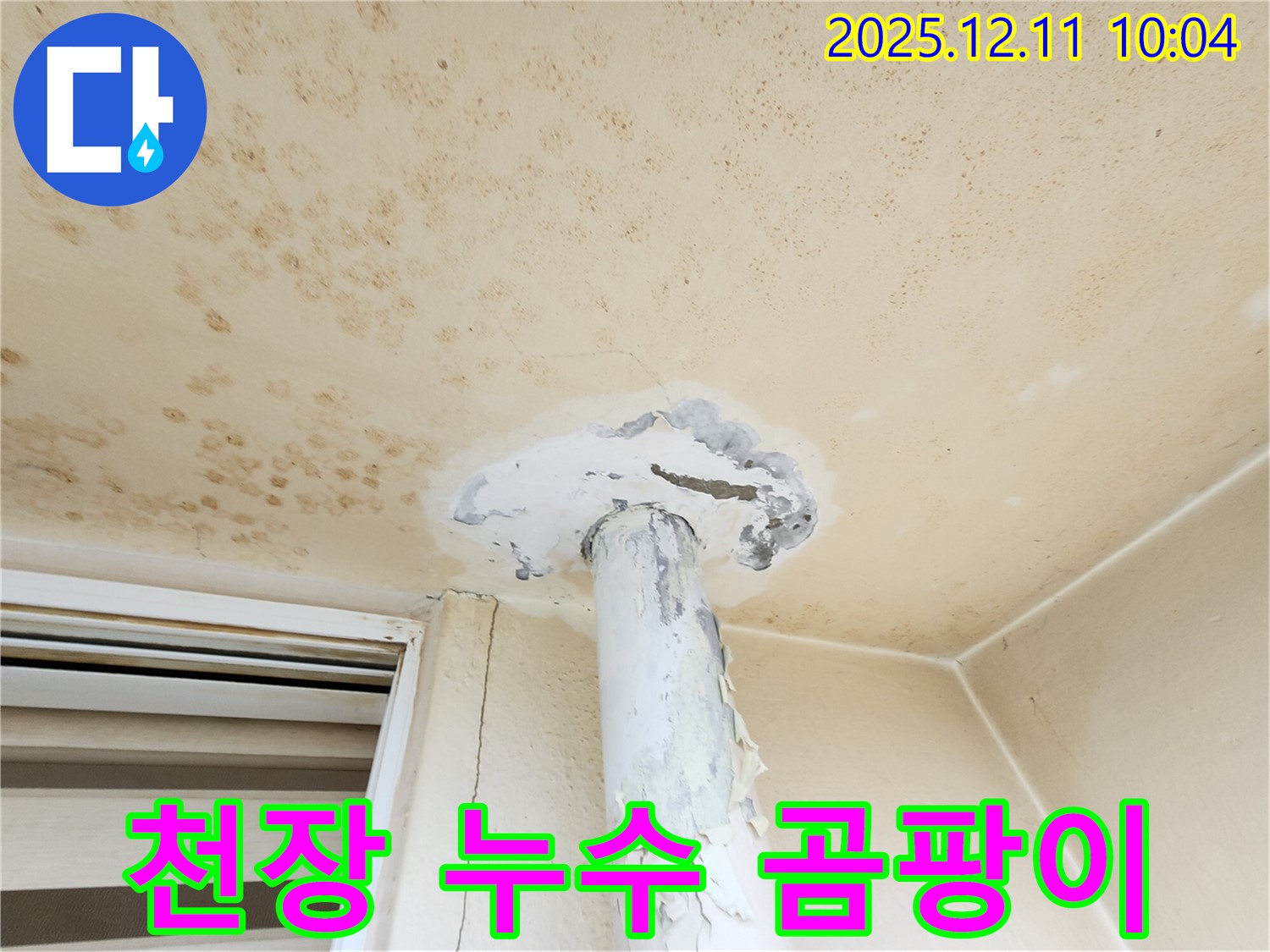 심각한 천장 누수와 곰팡이 오염 - 건강에 치명적일 수 있습니다.
